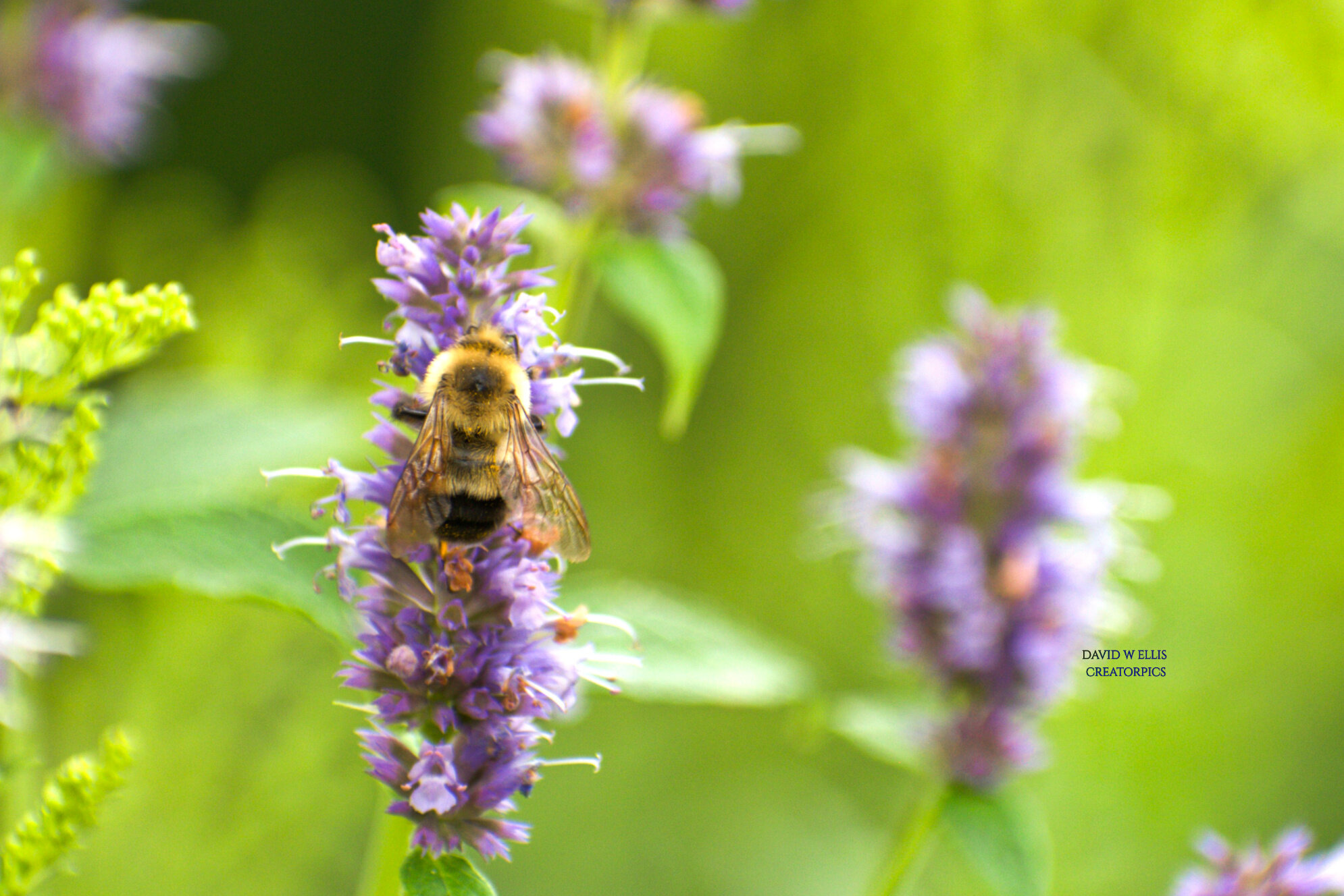 These Boundaries Matter