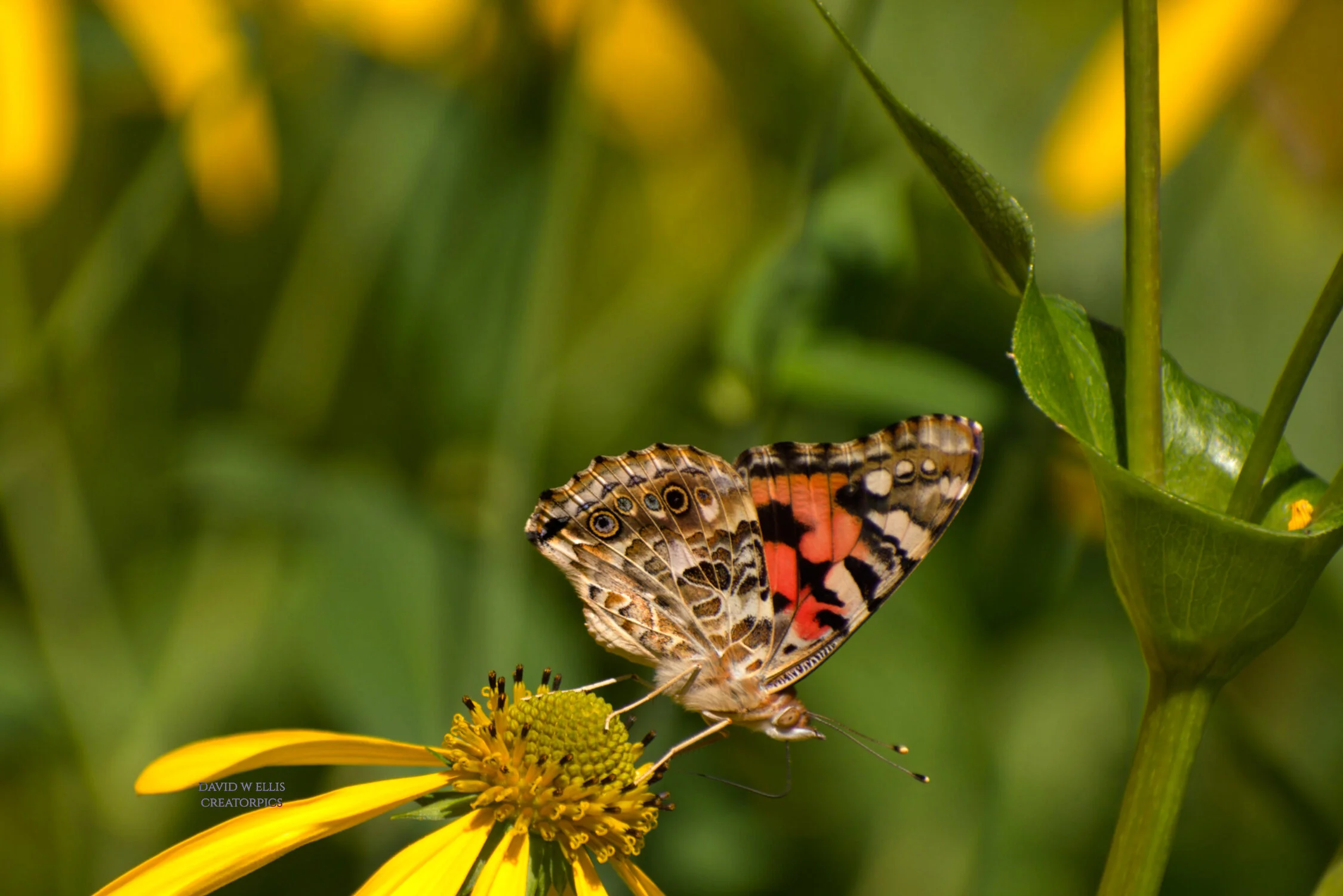 “It’s Impossible”