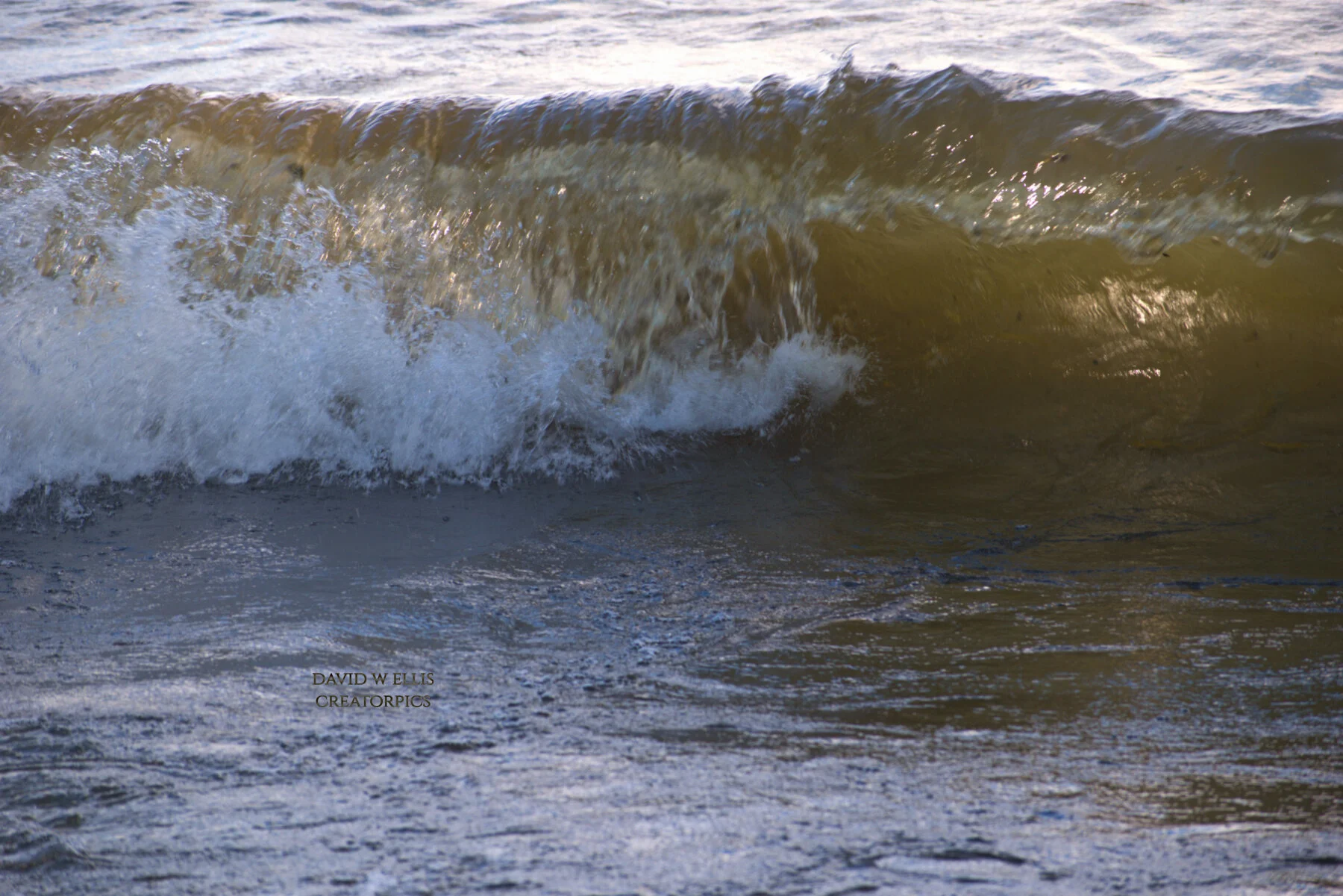 We Live in Two Realities