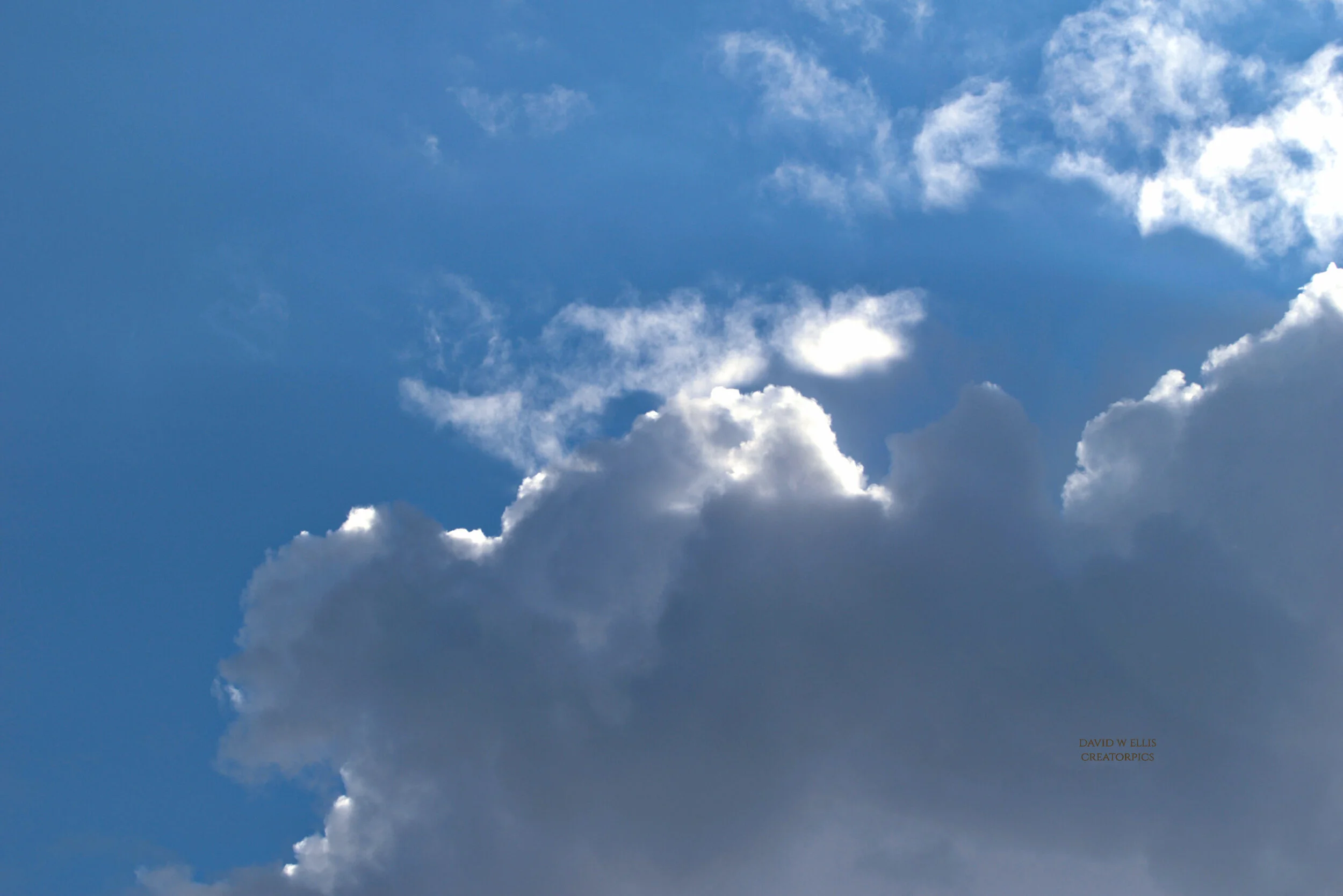 Afternoon Surprise...Worry Therapy