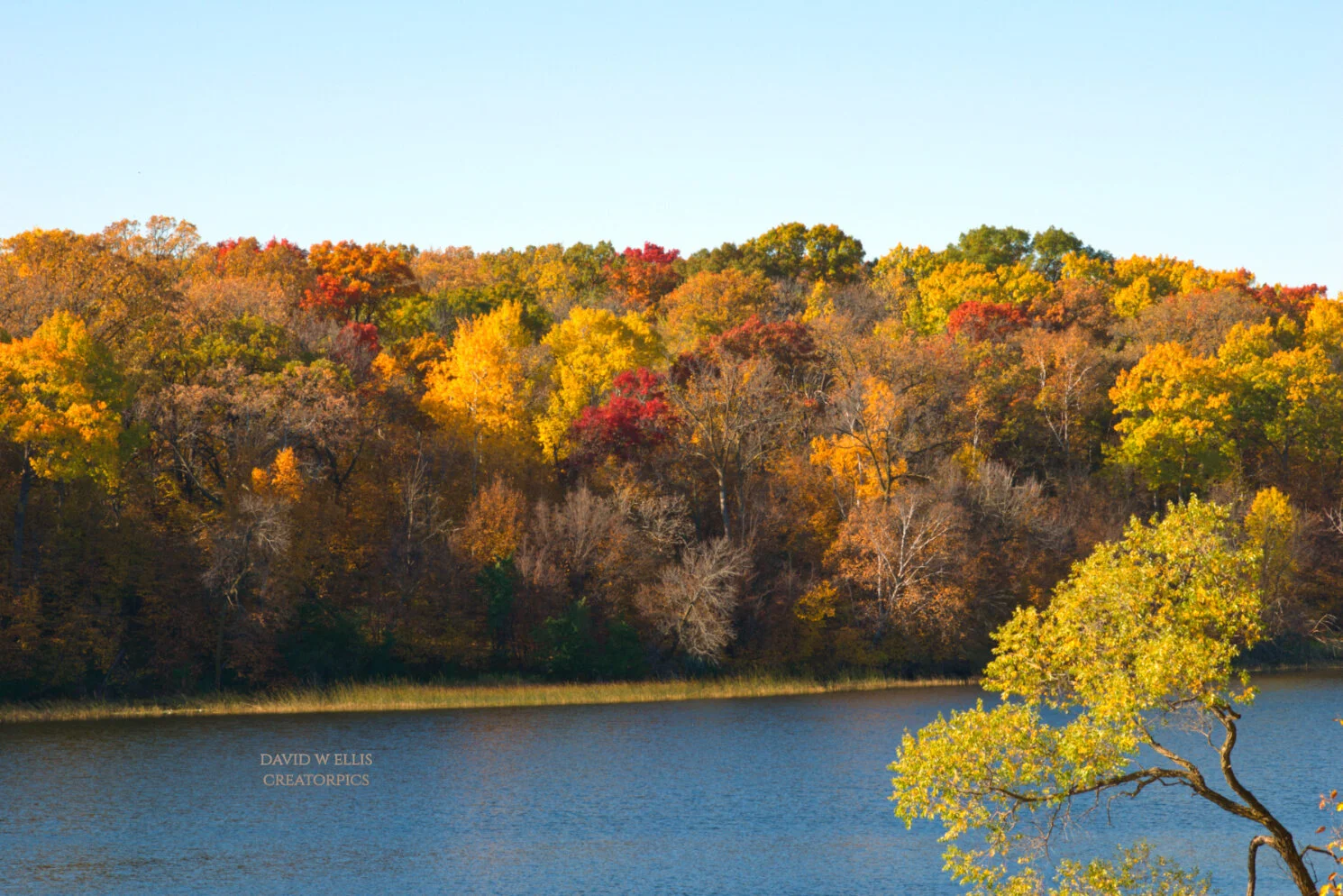 Sing the Mighty Power of God