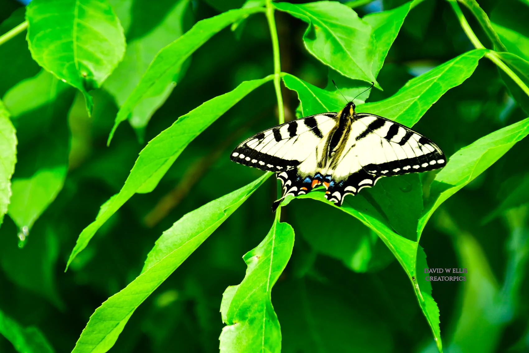 These Are the Small Things