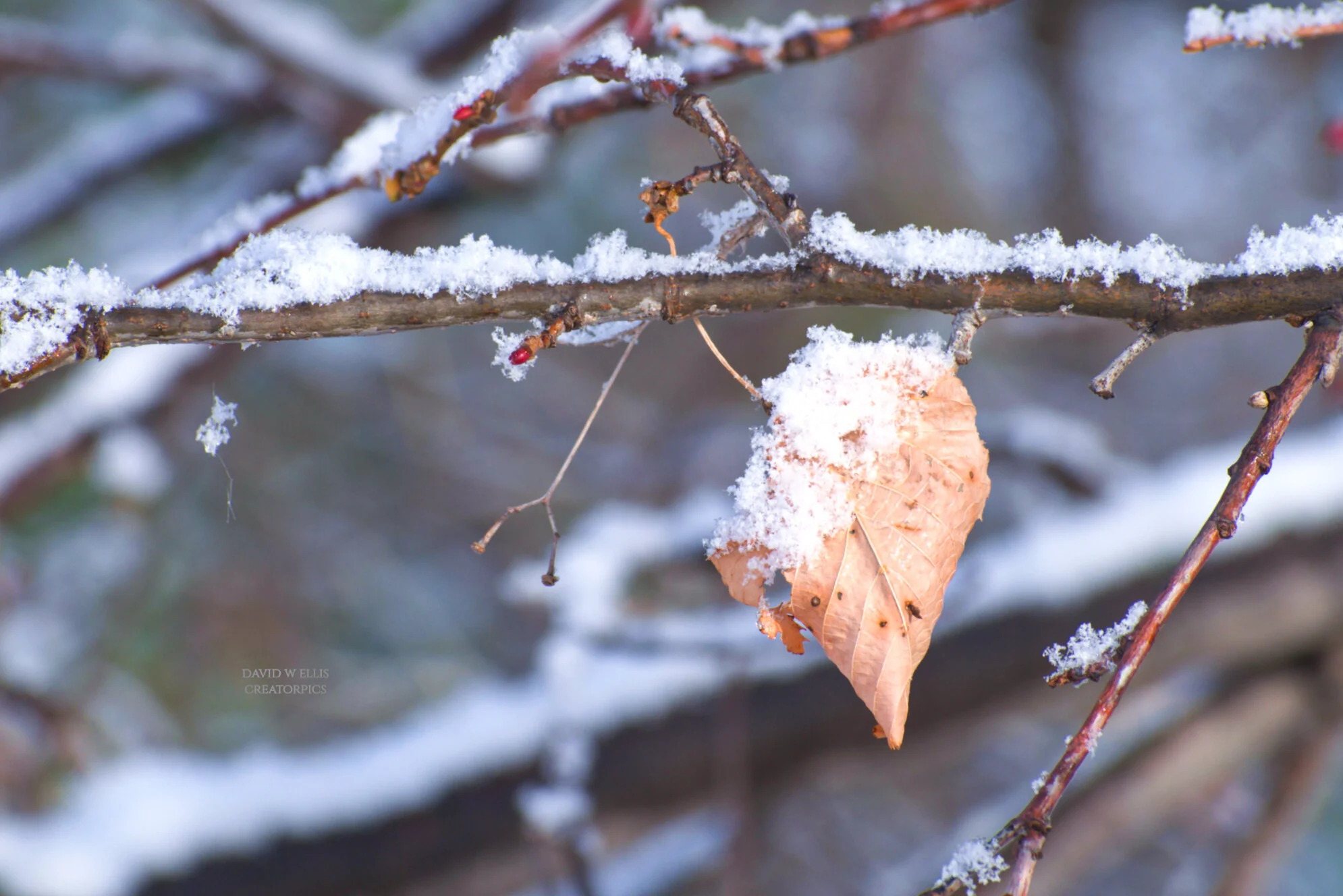 These Unsearchable Things