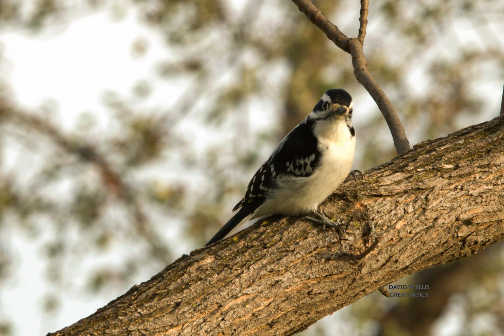 Don't Be Afraid...Just Believe