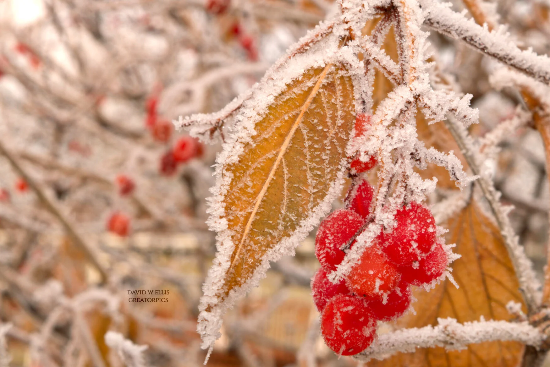 5 Questions We Can Answer