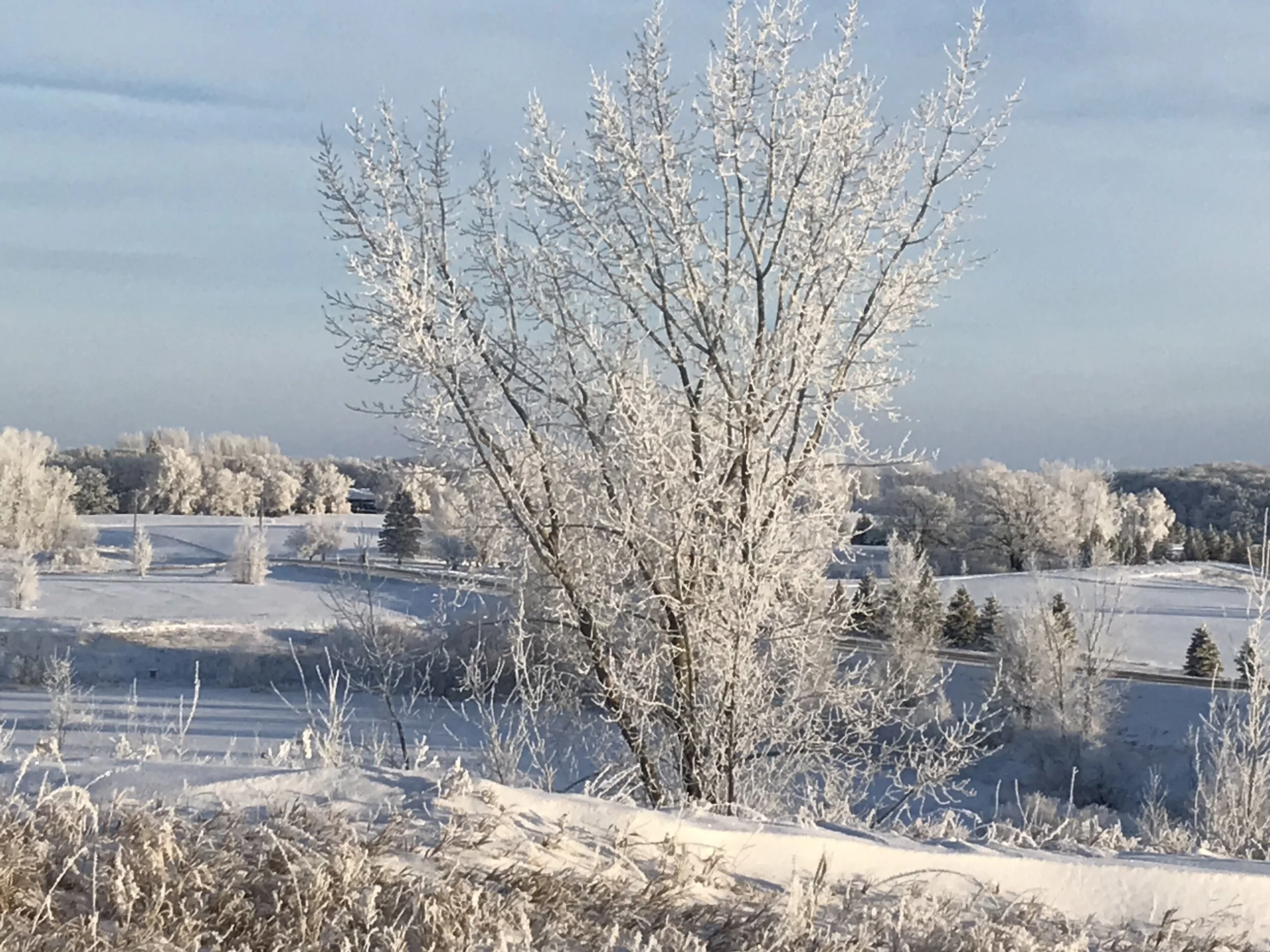 Complaint or Contentment