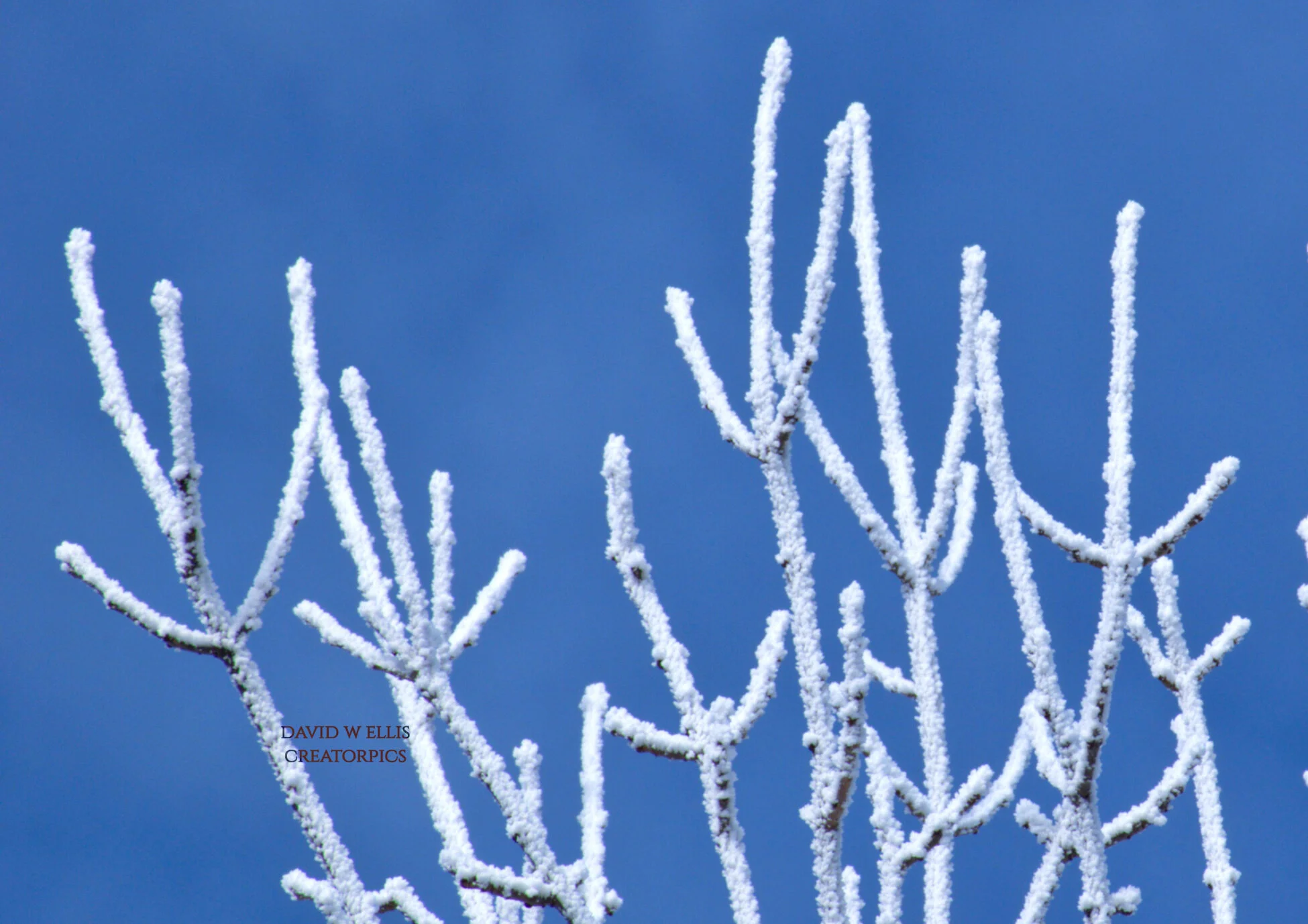 Overwhelmed with Wonder Rewind