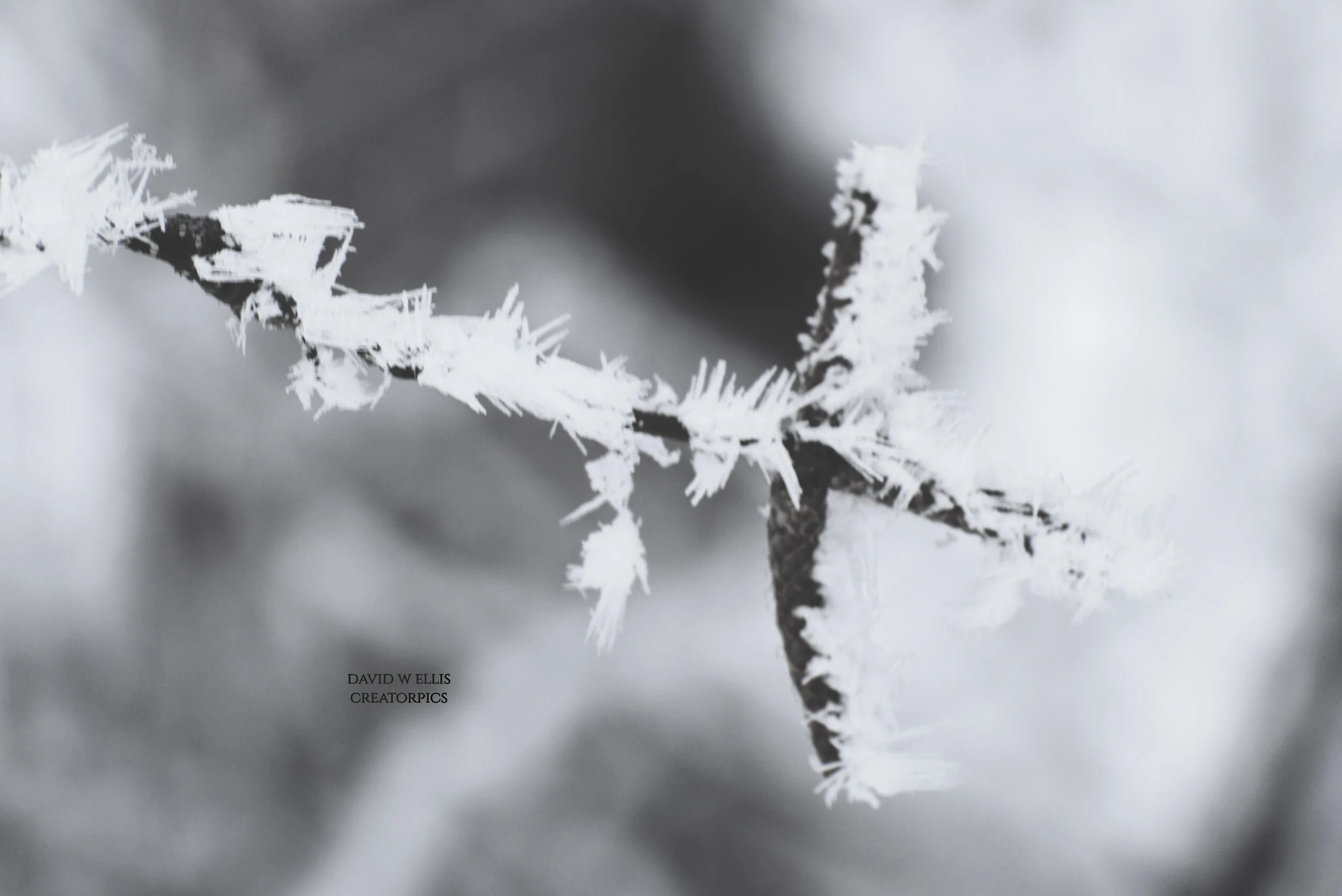 A Single Pointing Finger