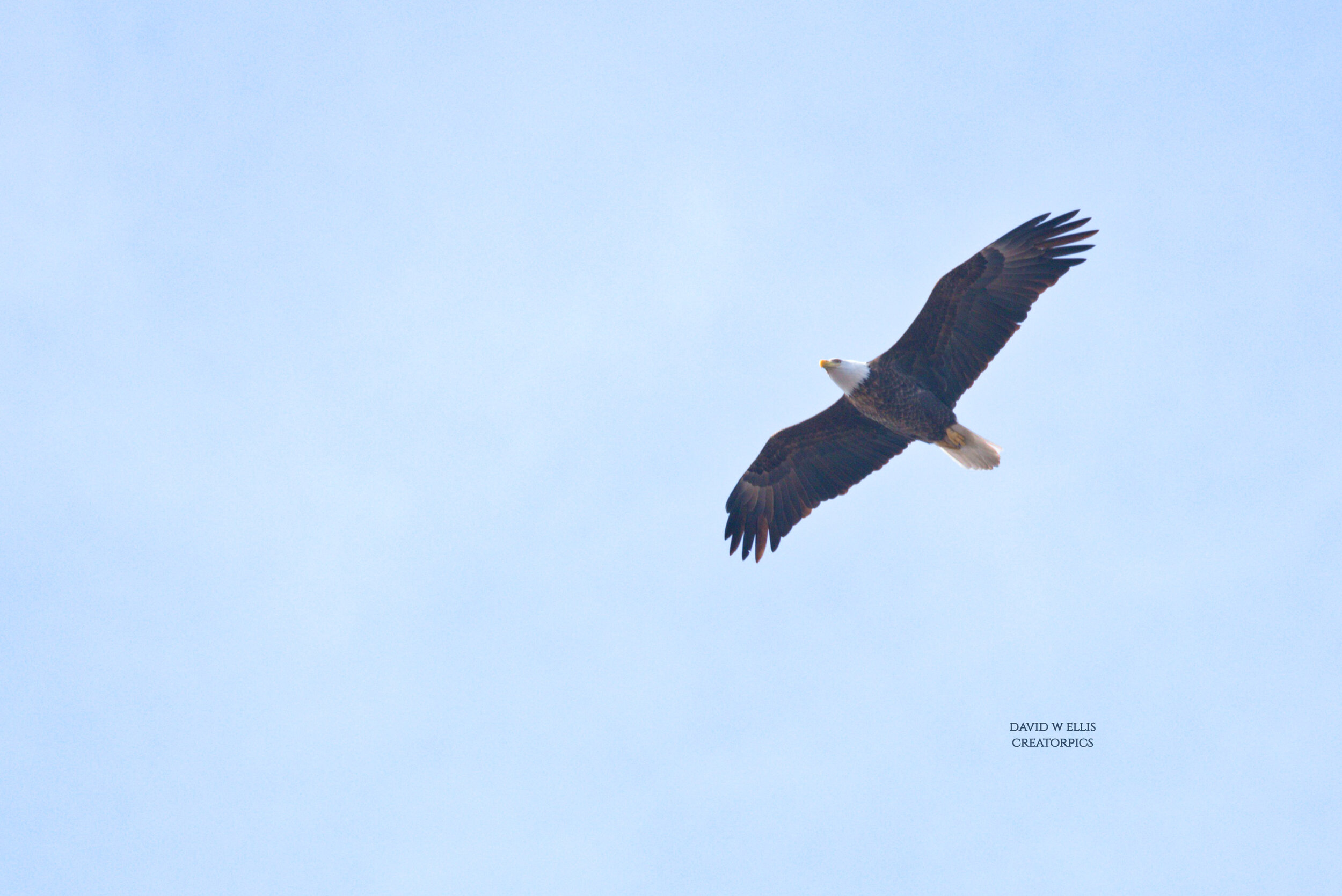 It's Official-Spring is Here