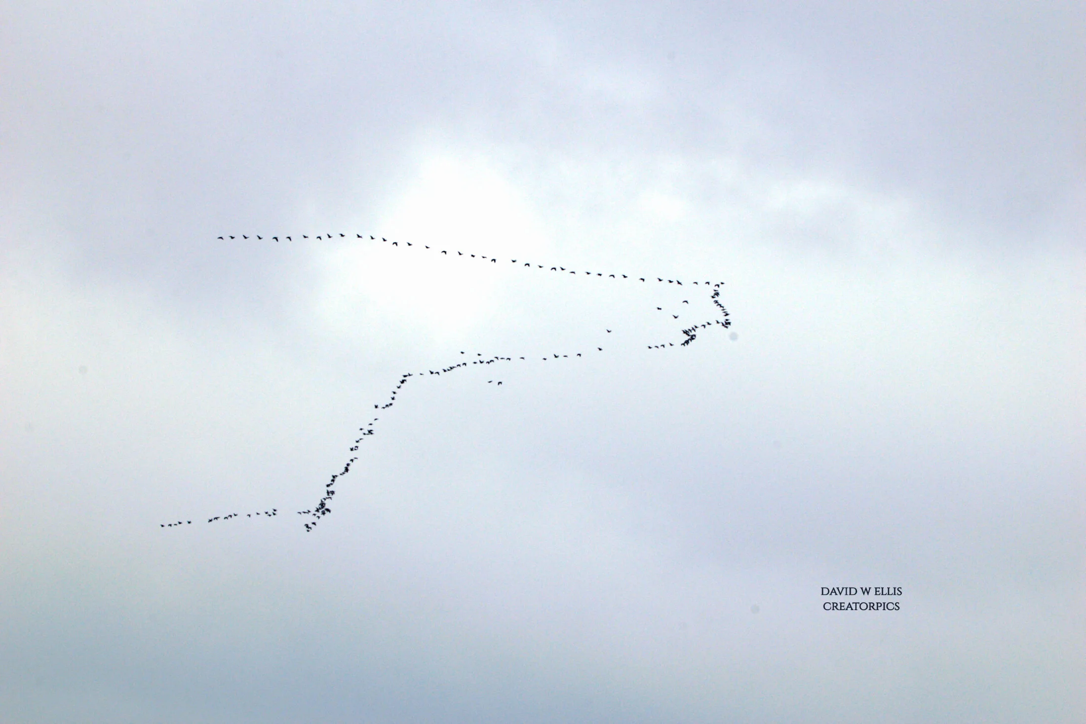 Giving Orders to Morning