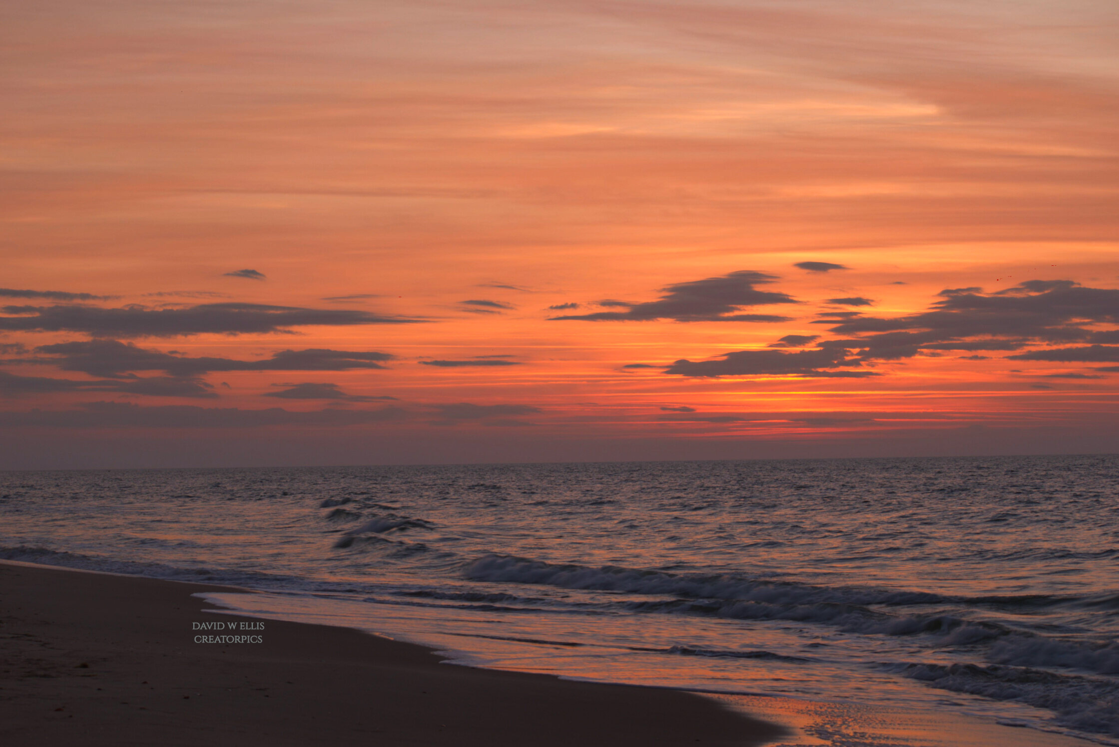 DSC_5622ed.jpg