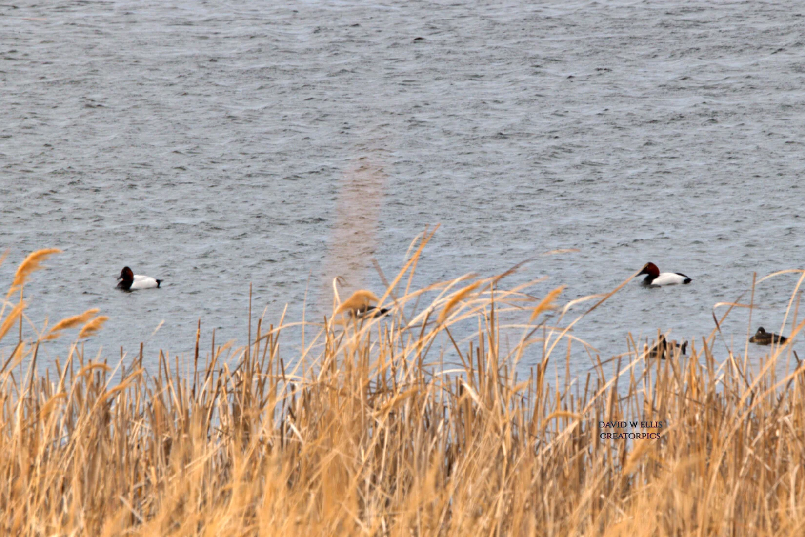 Infinite Abundance...in Two Stories...3 Questions...One Answer