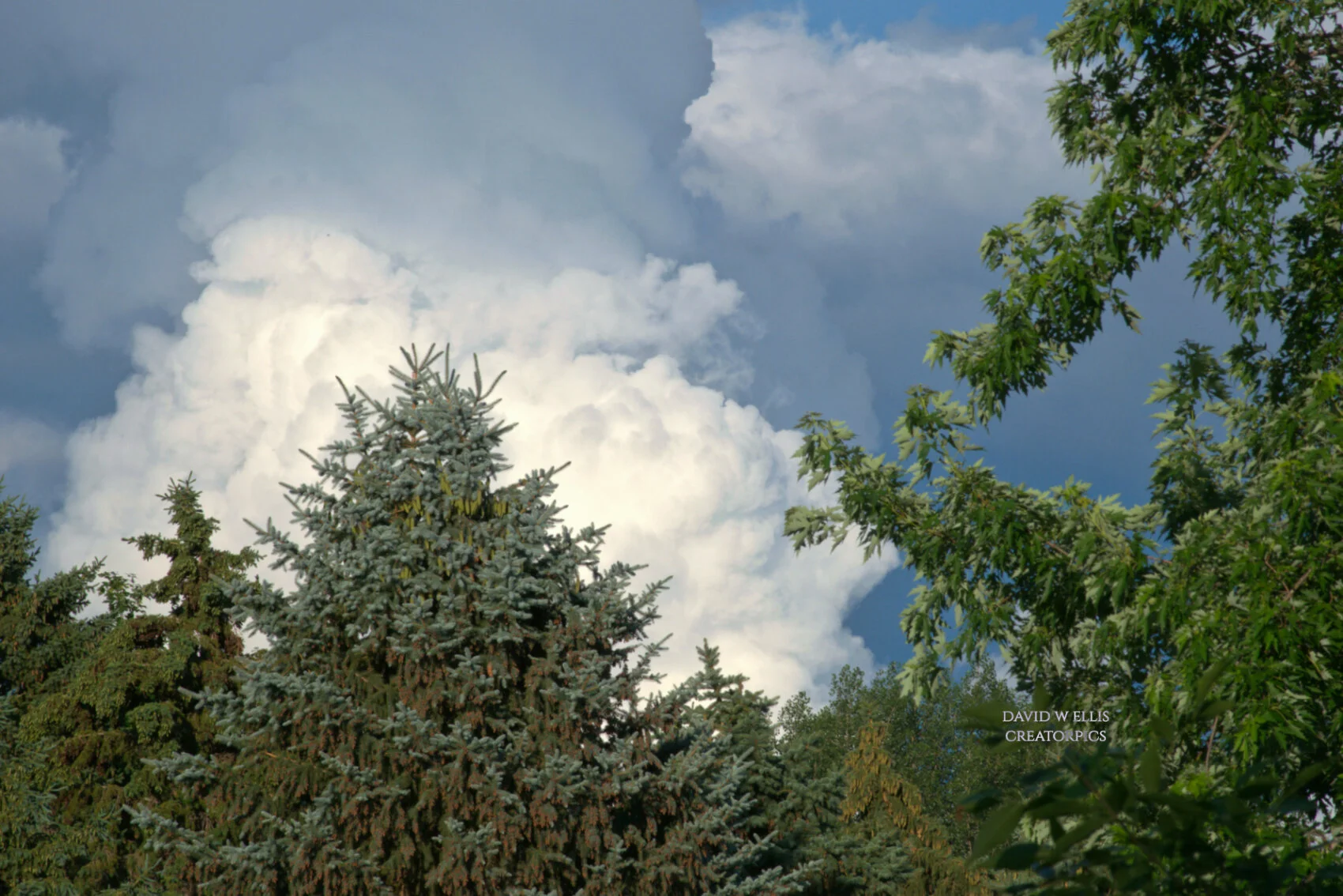 A June Cloud Spectacle