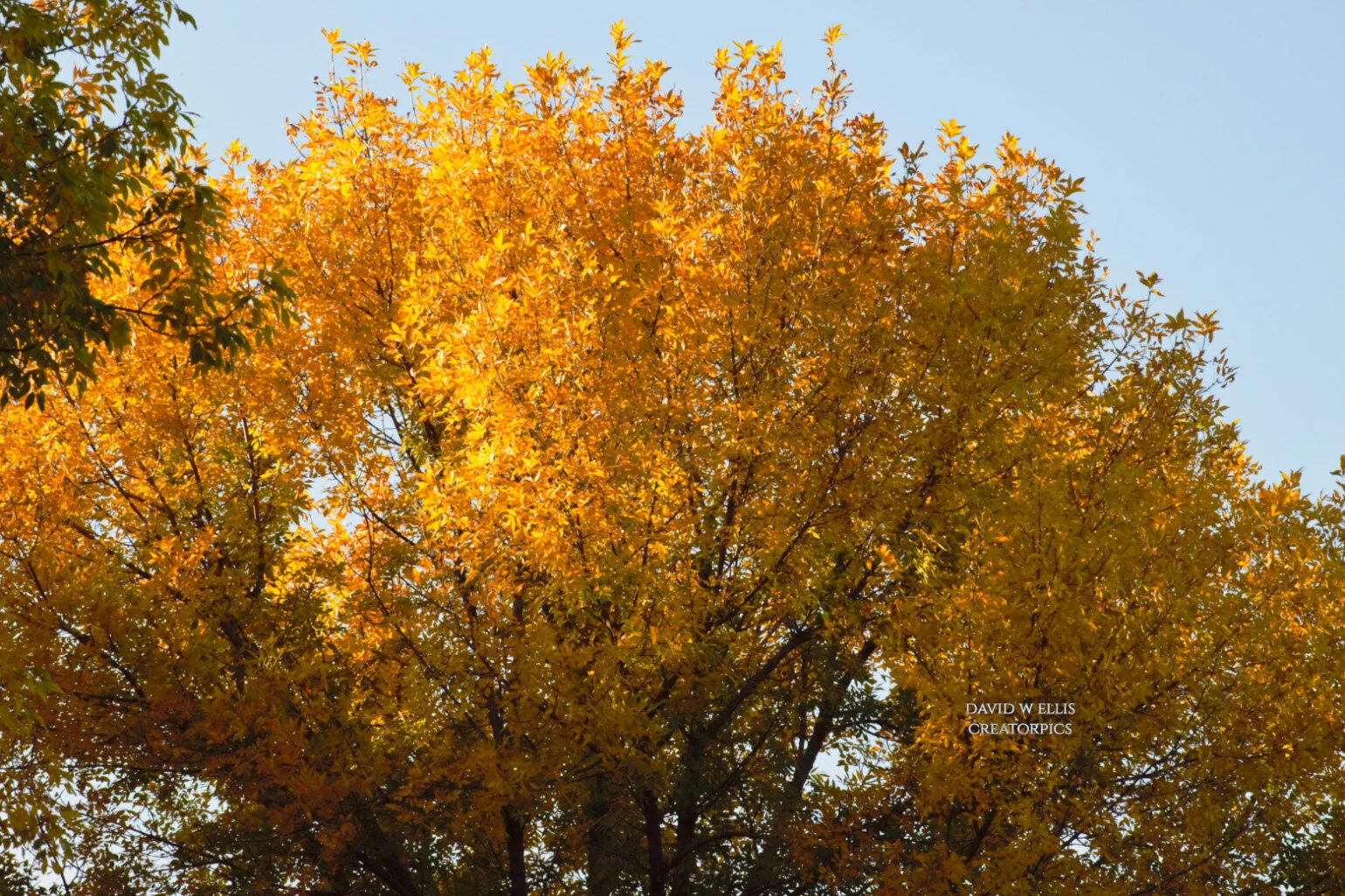 Omnipotence...In View