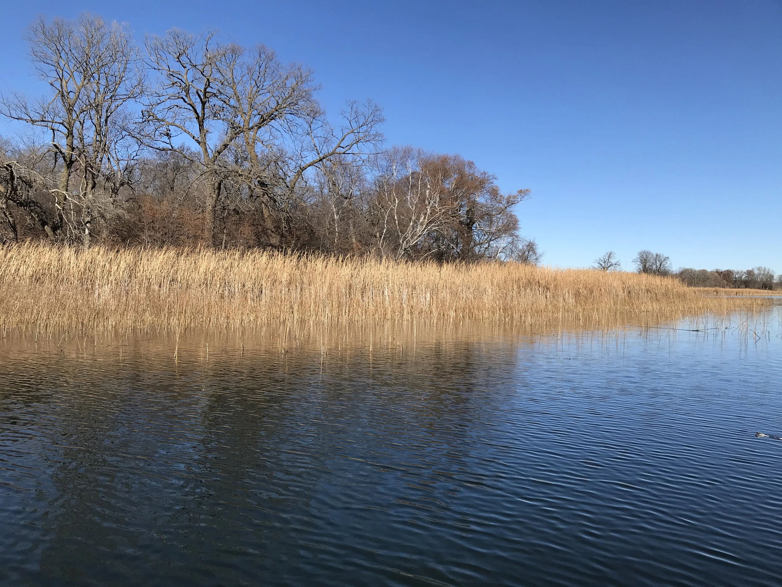 Two Boatloads of Fish