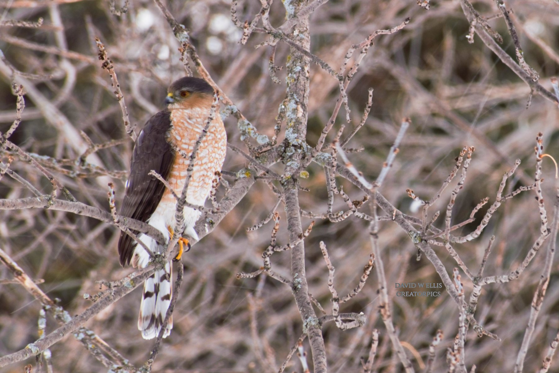 Your Surprising, Beautiful World