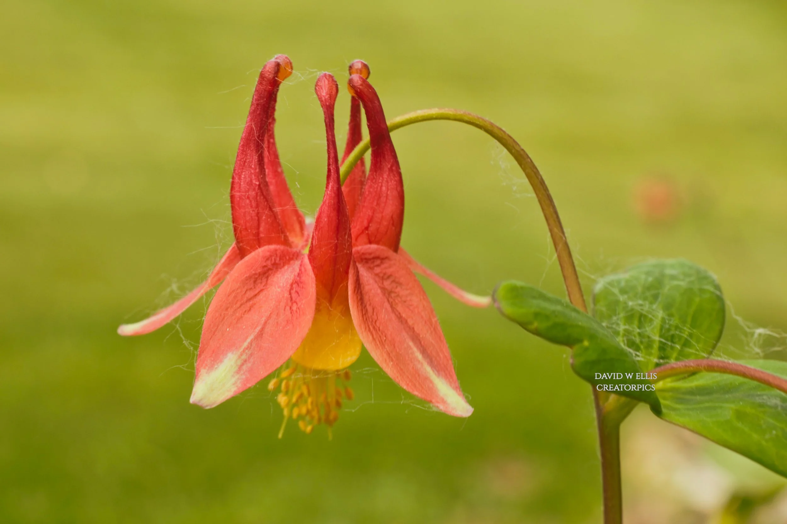 There is a Season...