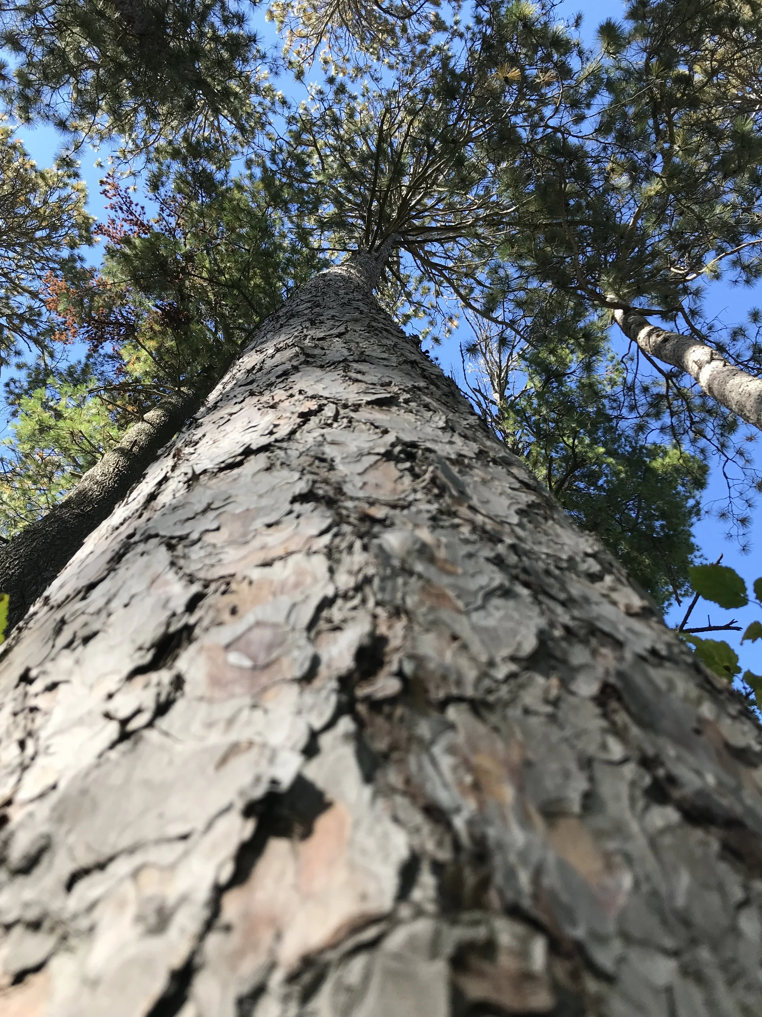 There's Something Out There!