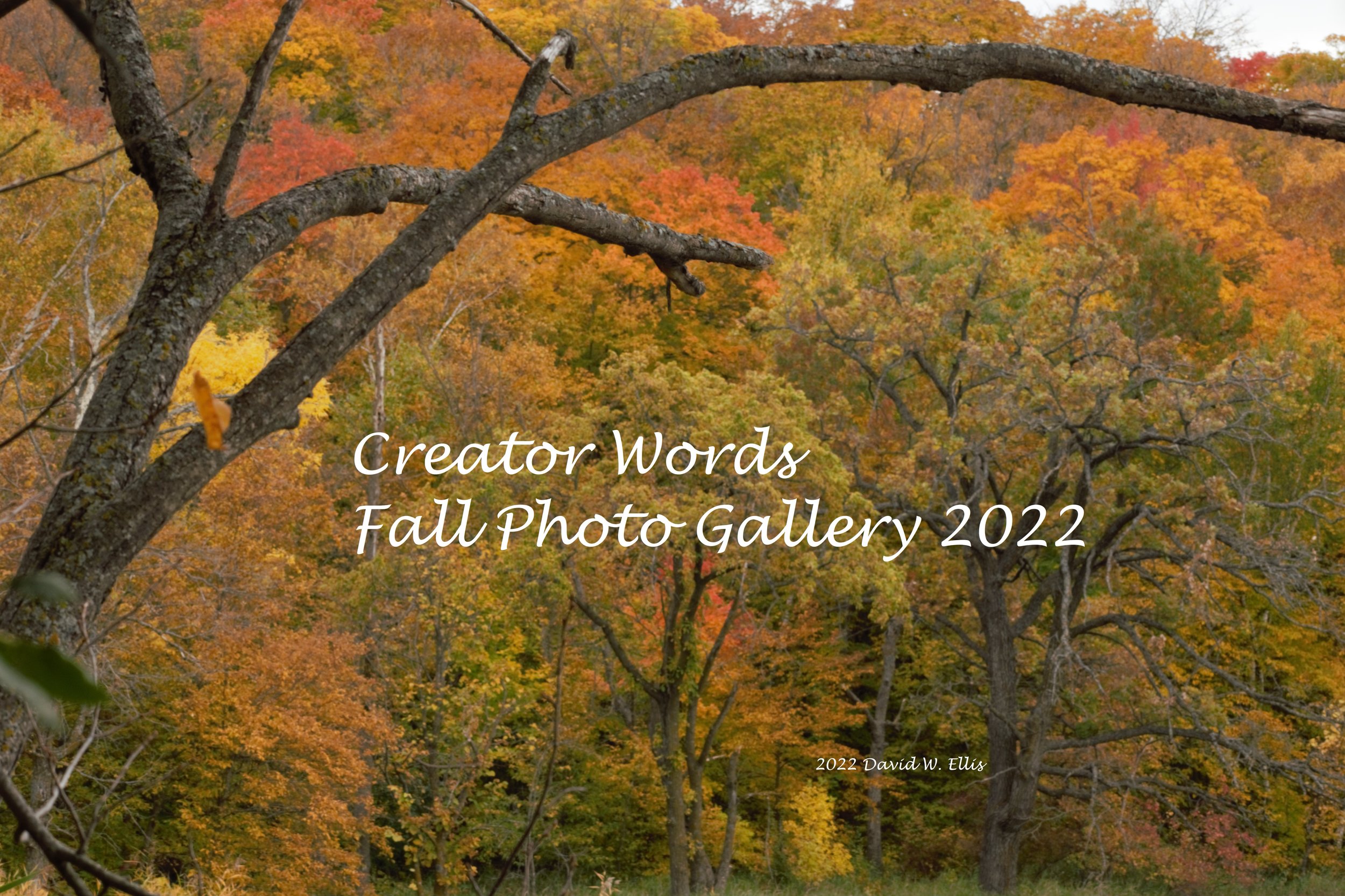 Creator Words Fall Photo Gallery 2022