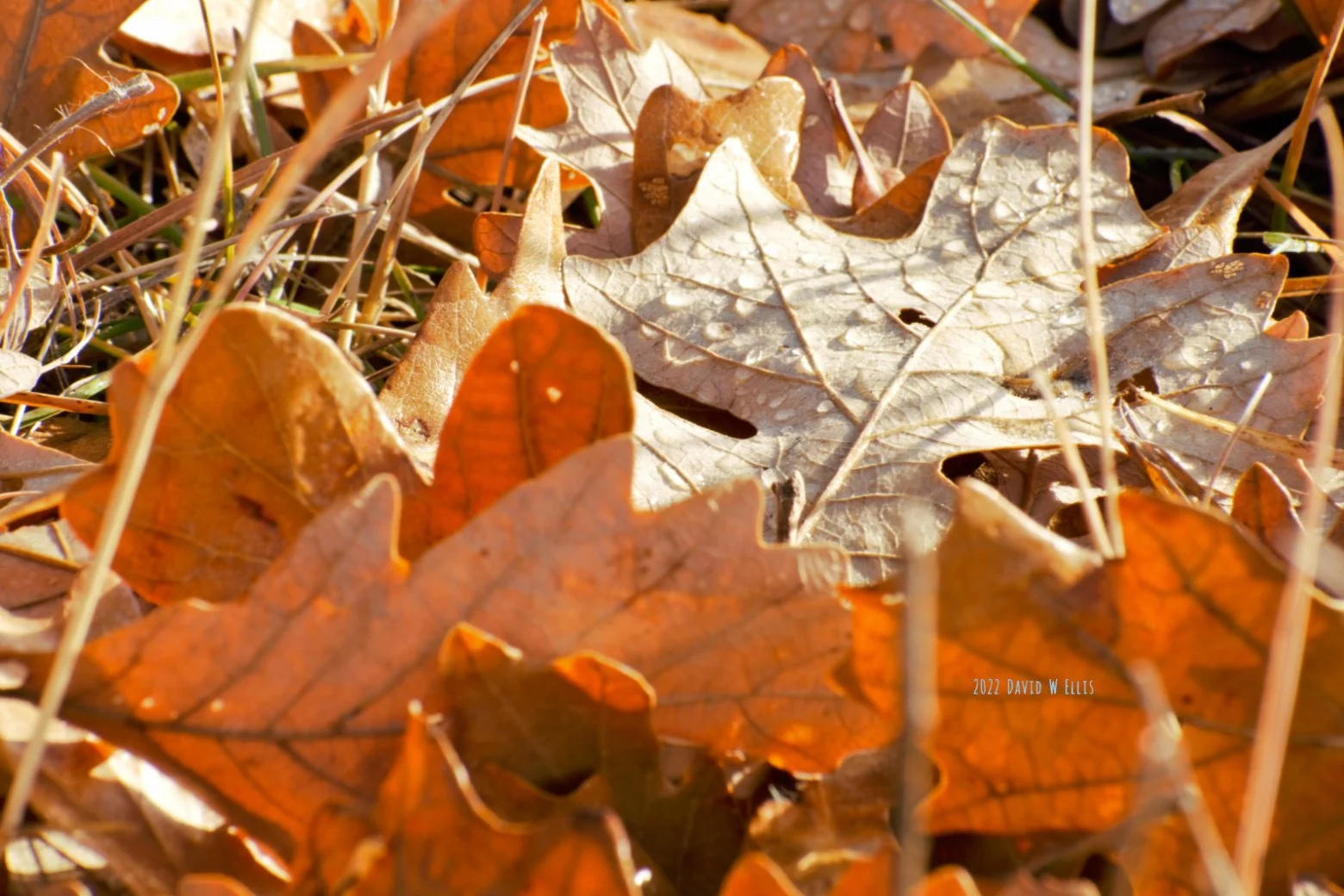 Eyes on the Invisible