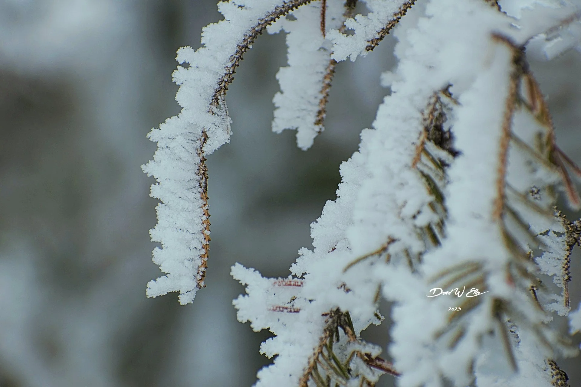 Invisible Becomes Visible