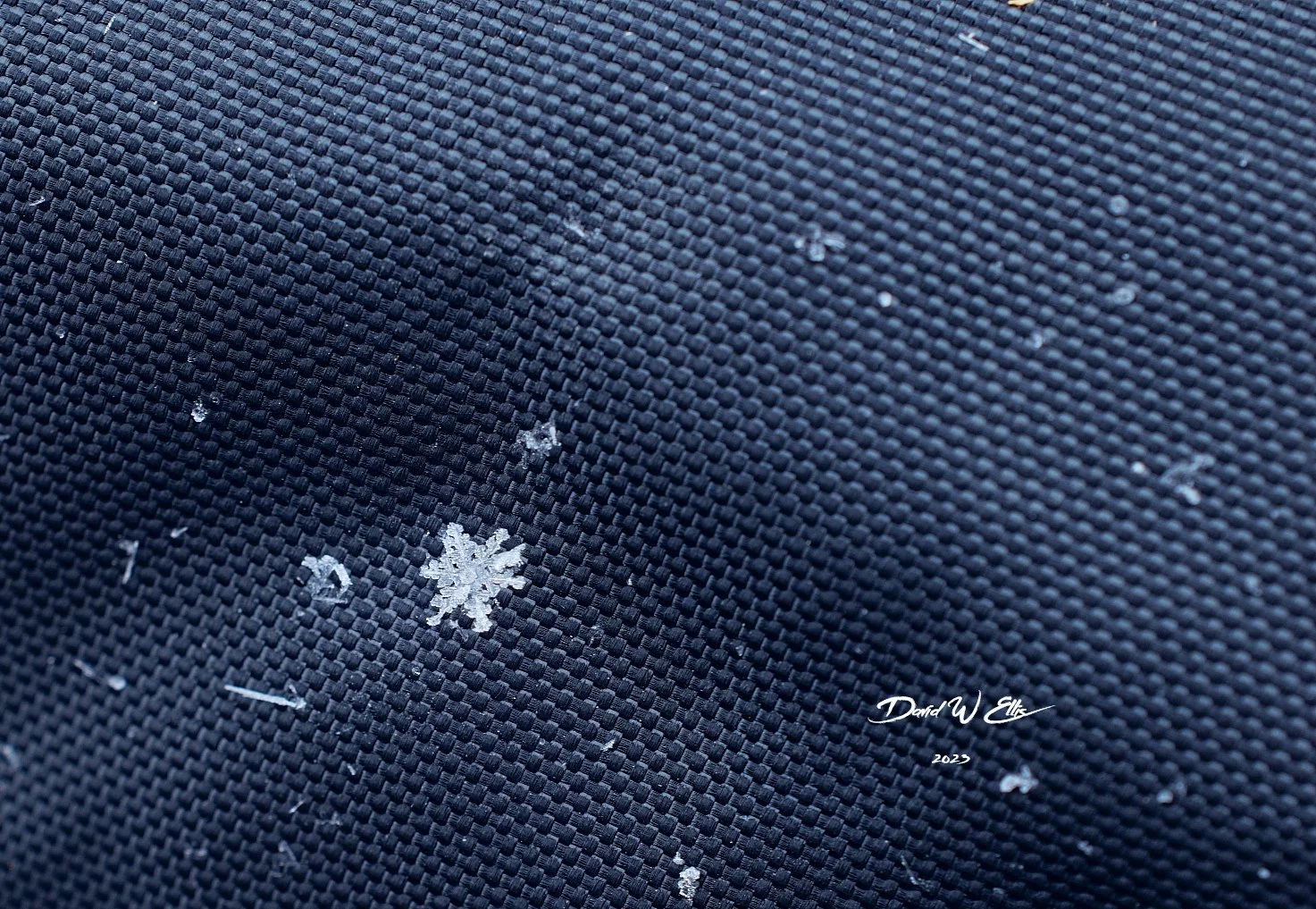 Earth's Crammed with Heaven-Snow Crystal Edition