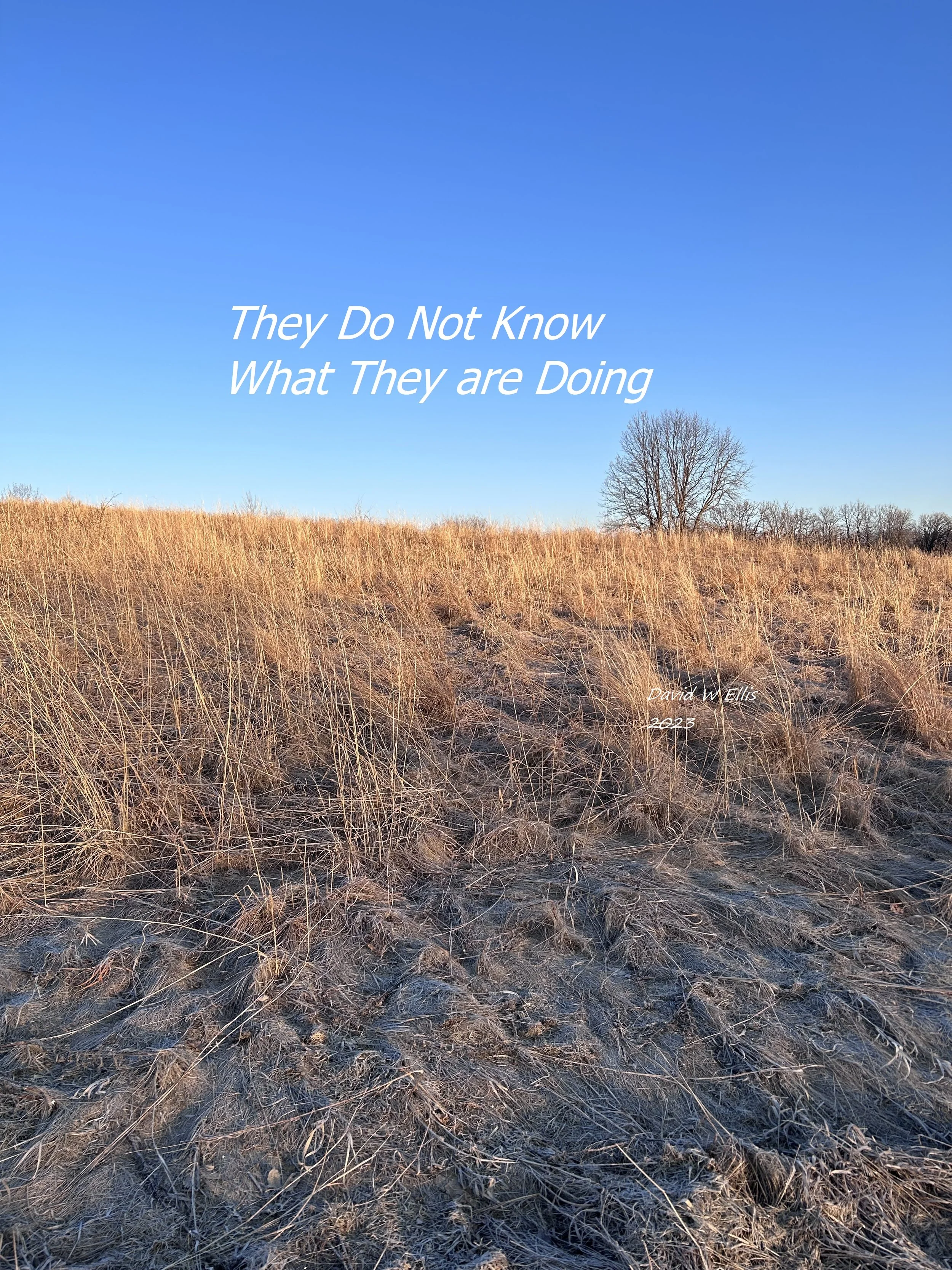 They Don't Know What They Are Doing