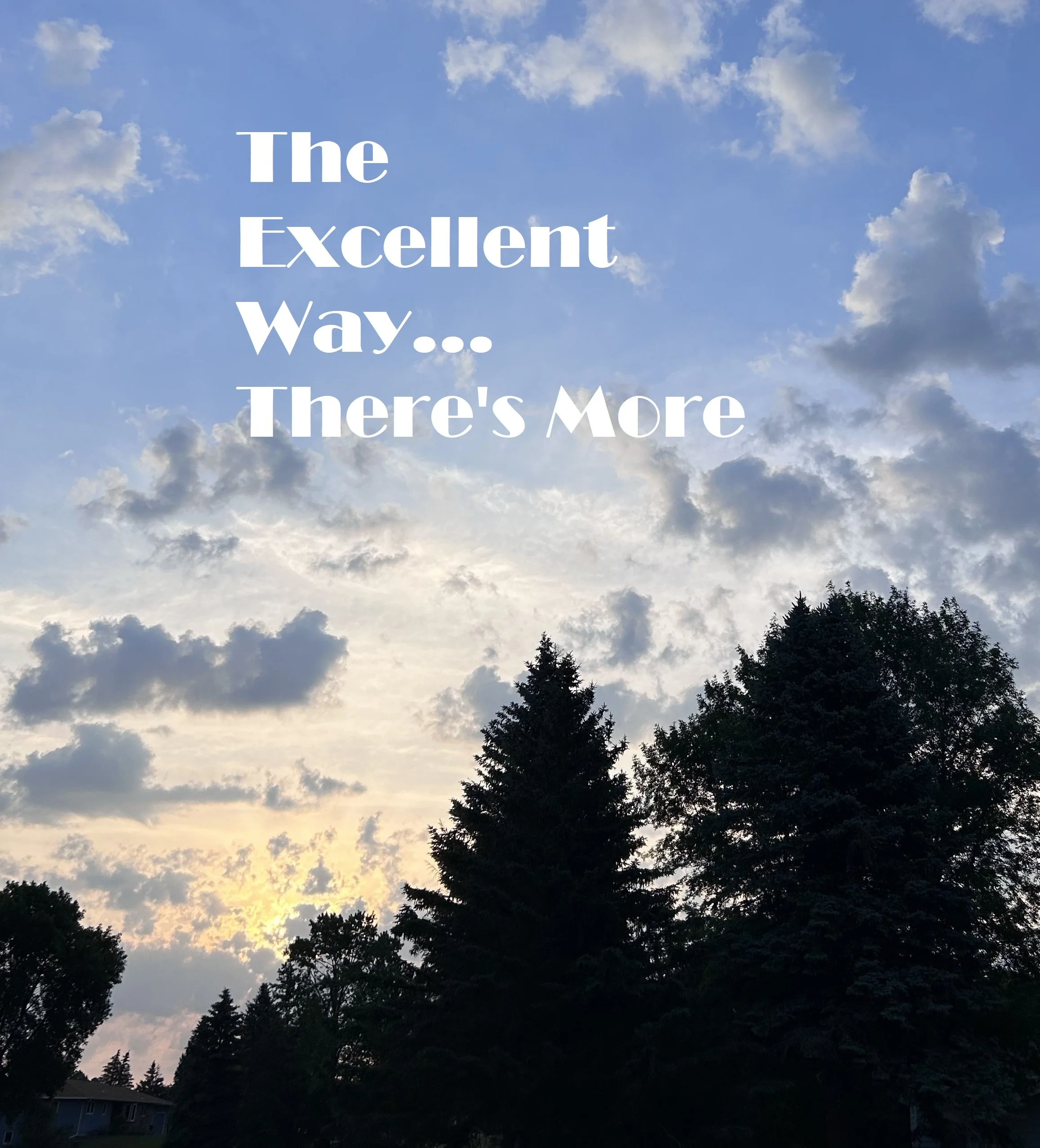 The Excellent Way Part 2