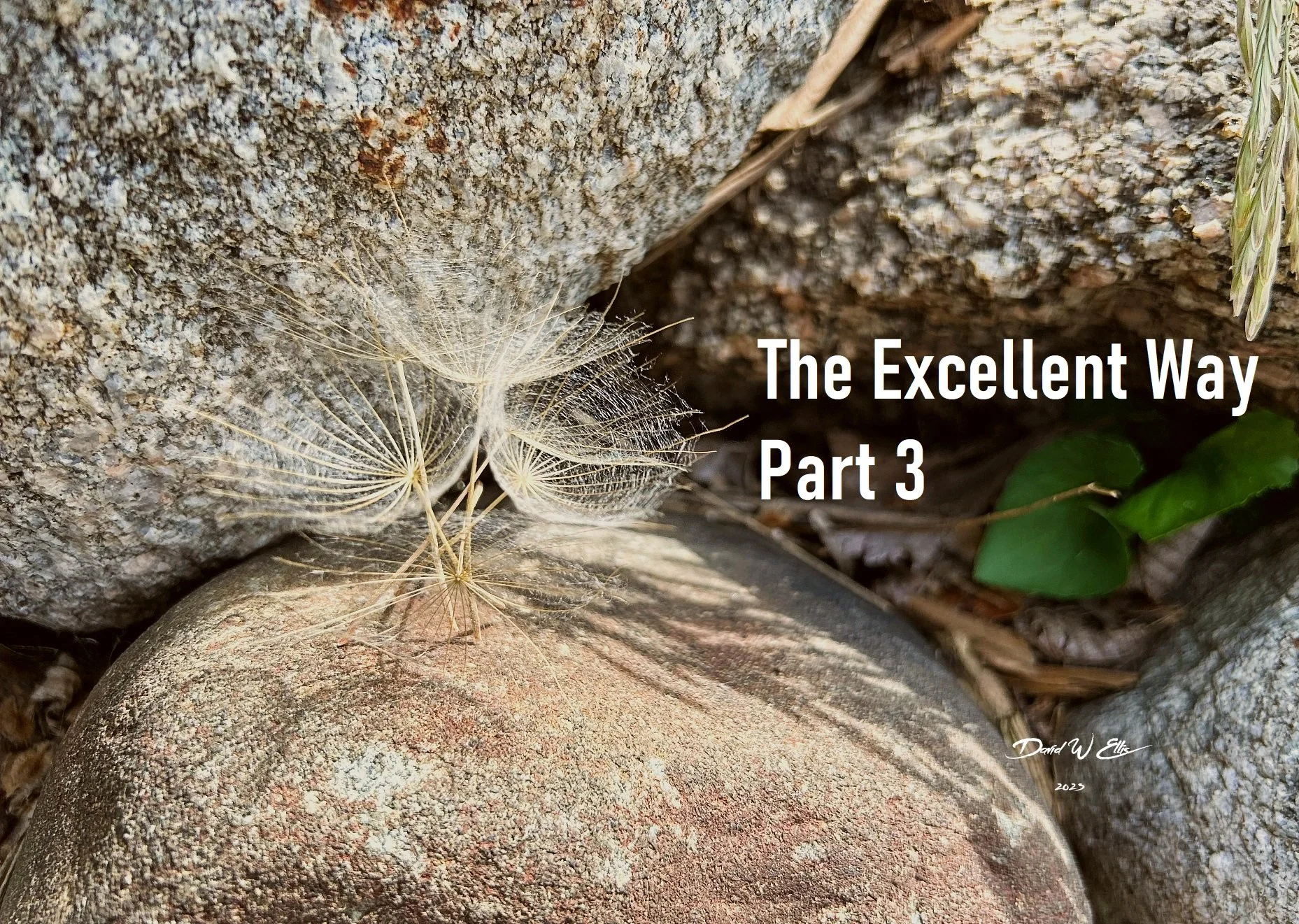 The Excellent Way #3