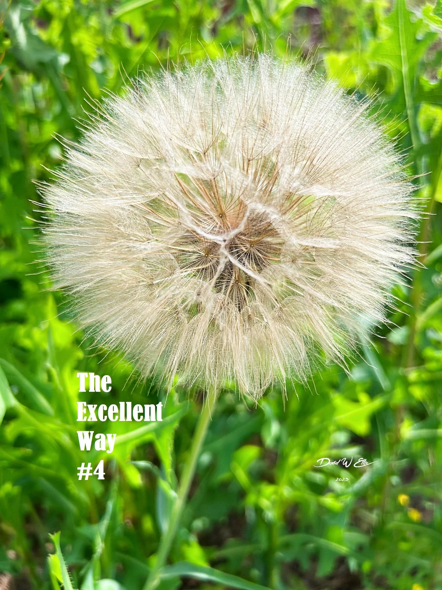 The Excellent Way #4