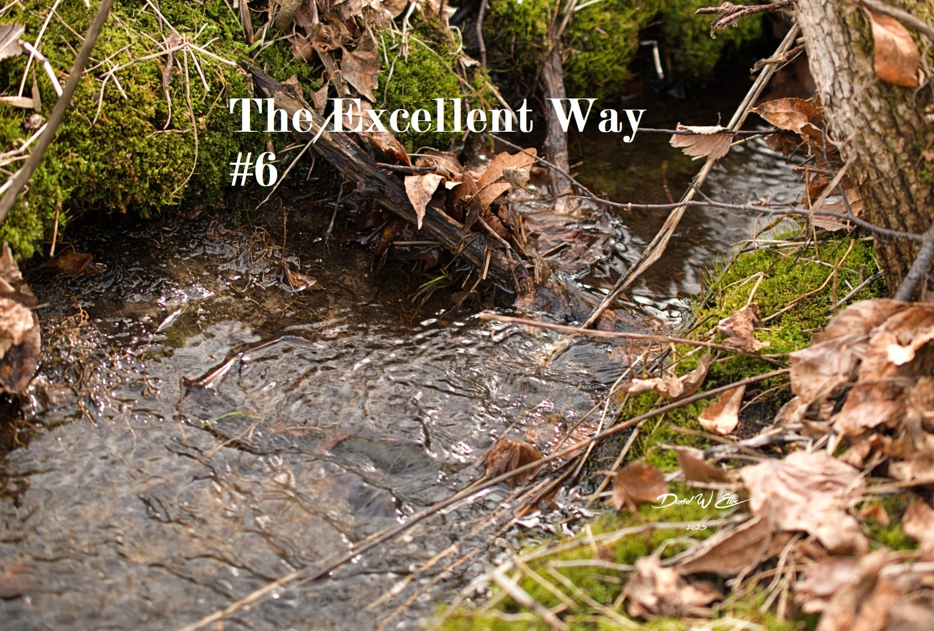 The Excellent Way #6