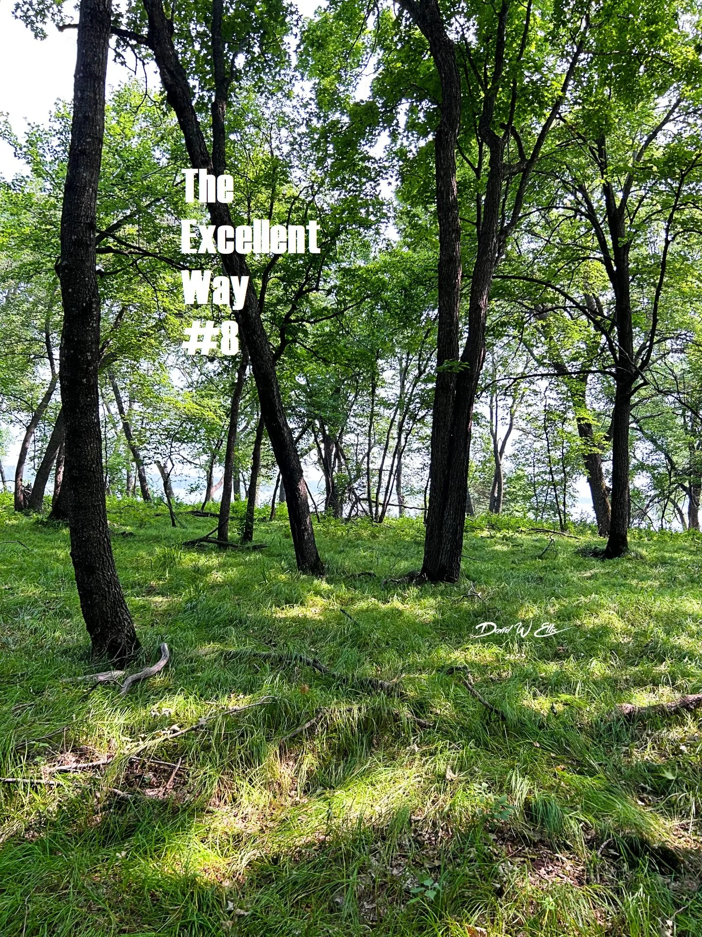 The Excellent Way #8
