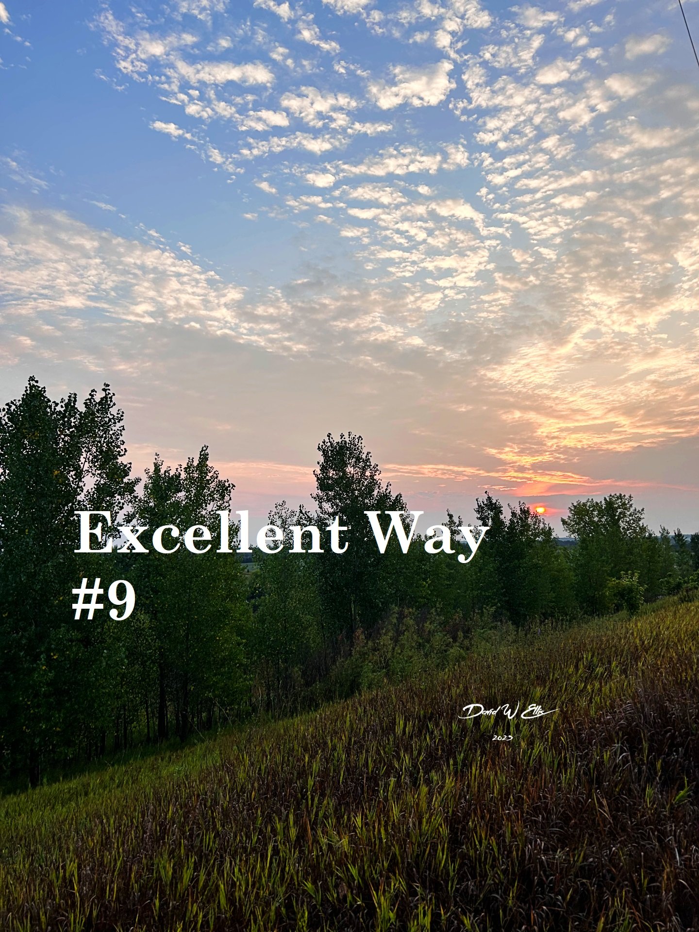The Excellent Way #9