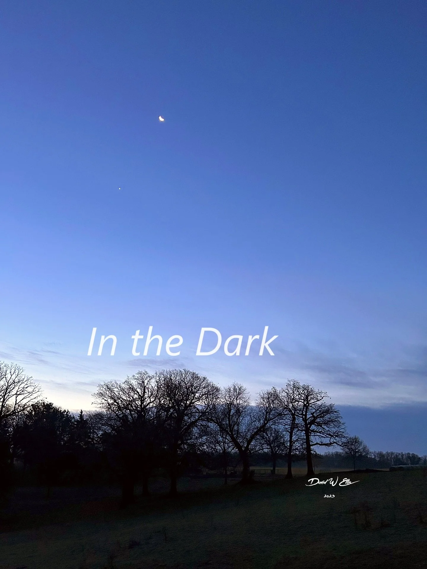 In the Dark