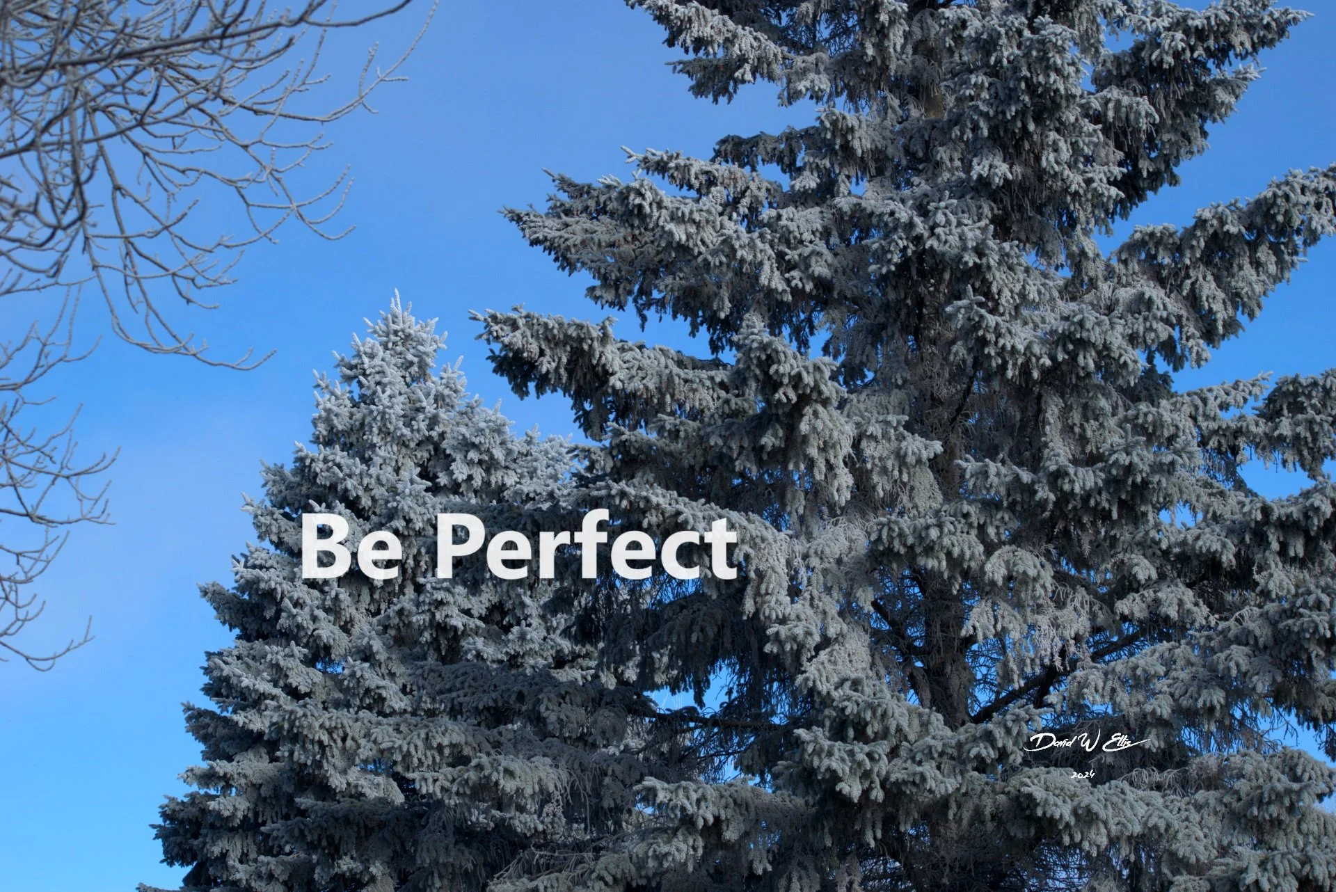 Be Perfect