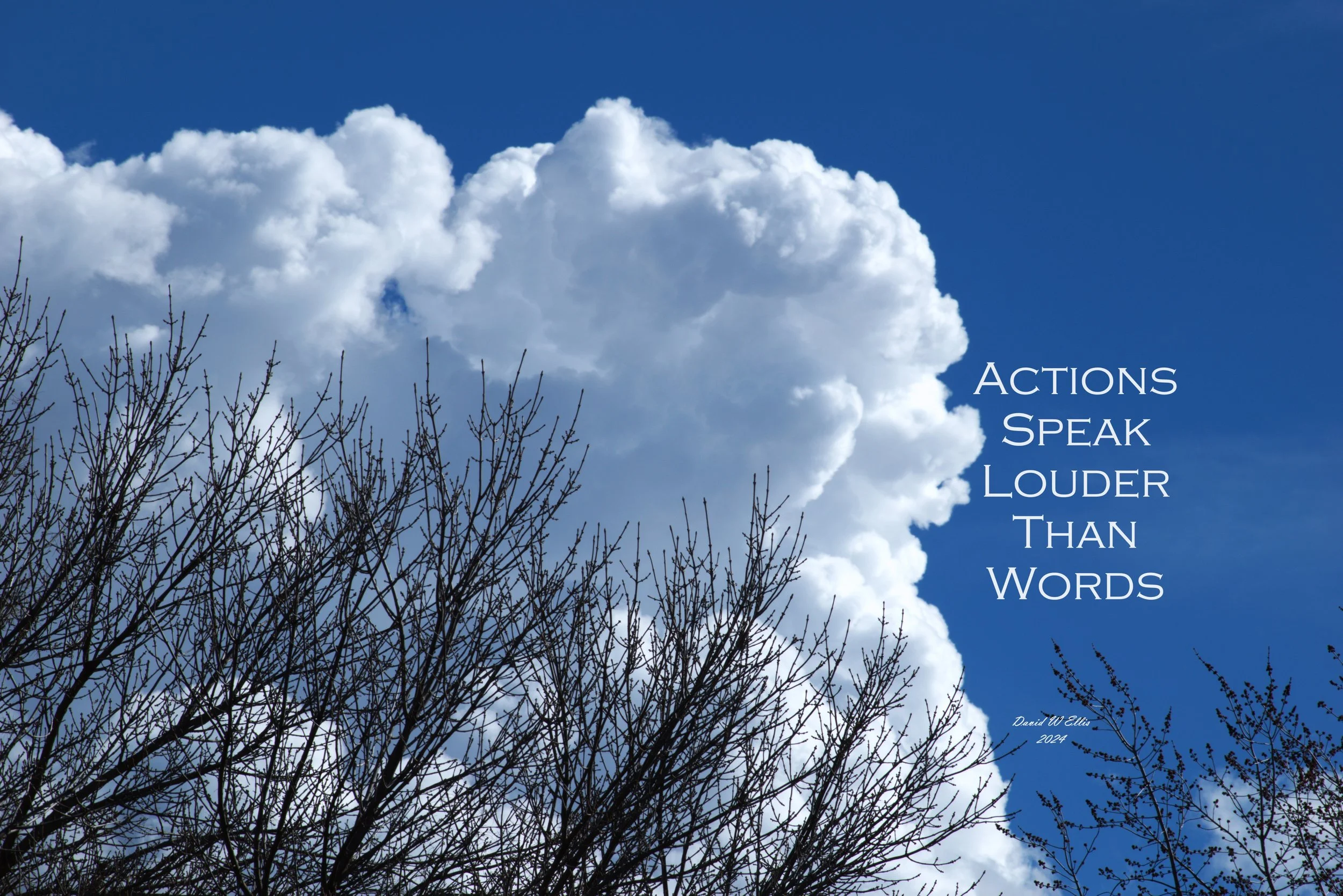 Actions Speak Louder Than Words