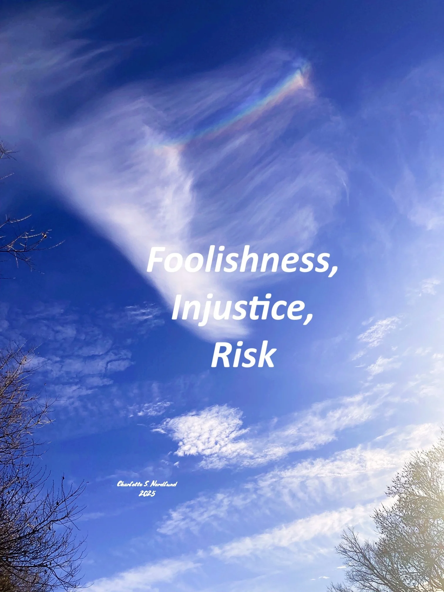 Foolishness, Injustice, Risk