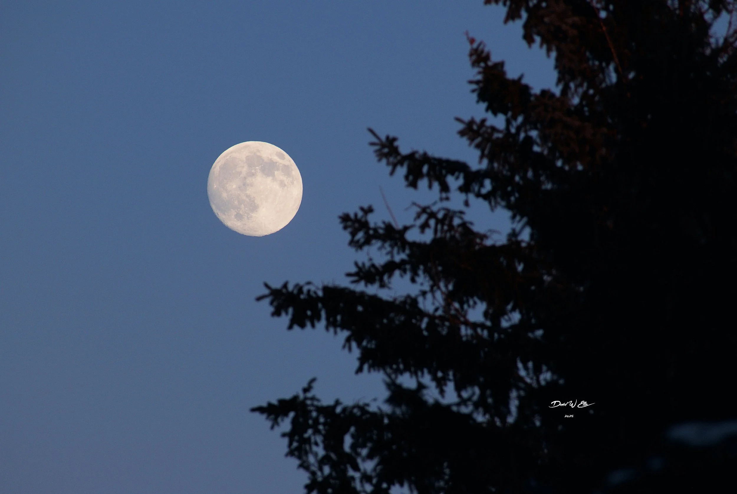 Illuminated Sky Sign