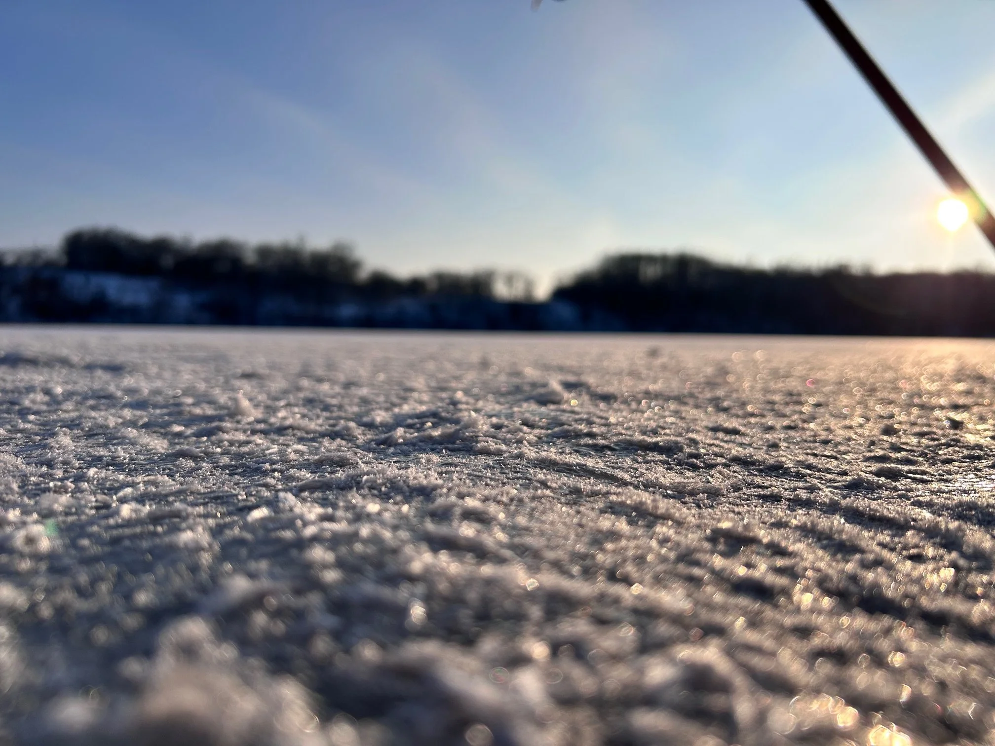 Fall Colors Collection 2025