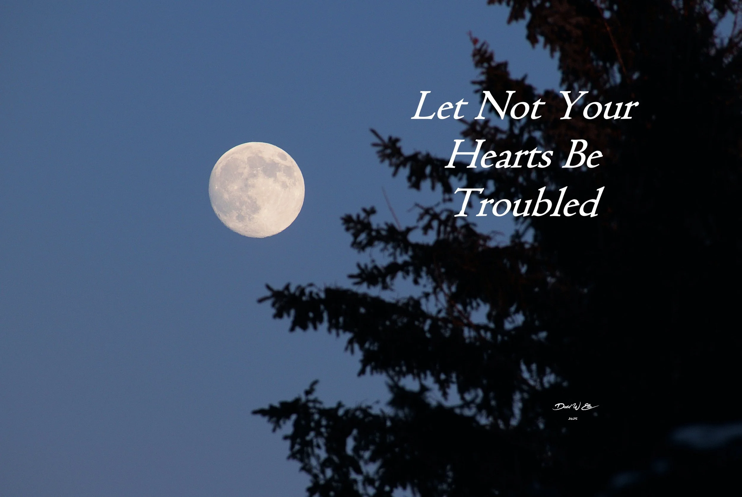 Let Not Your Hearts Be Troubled"