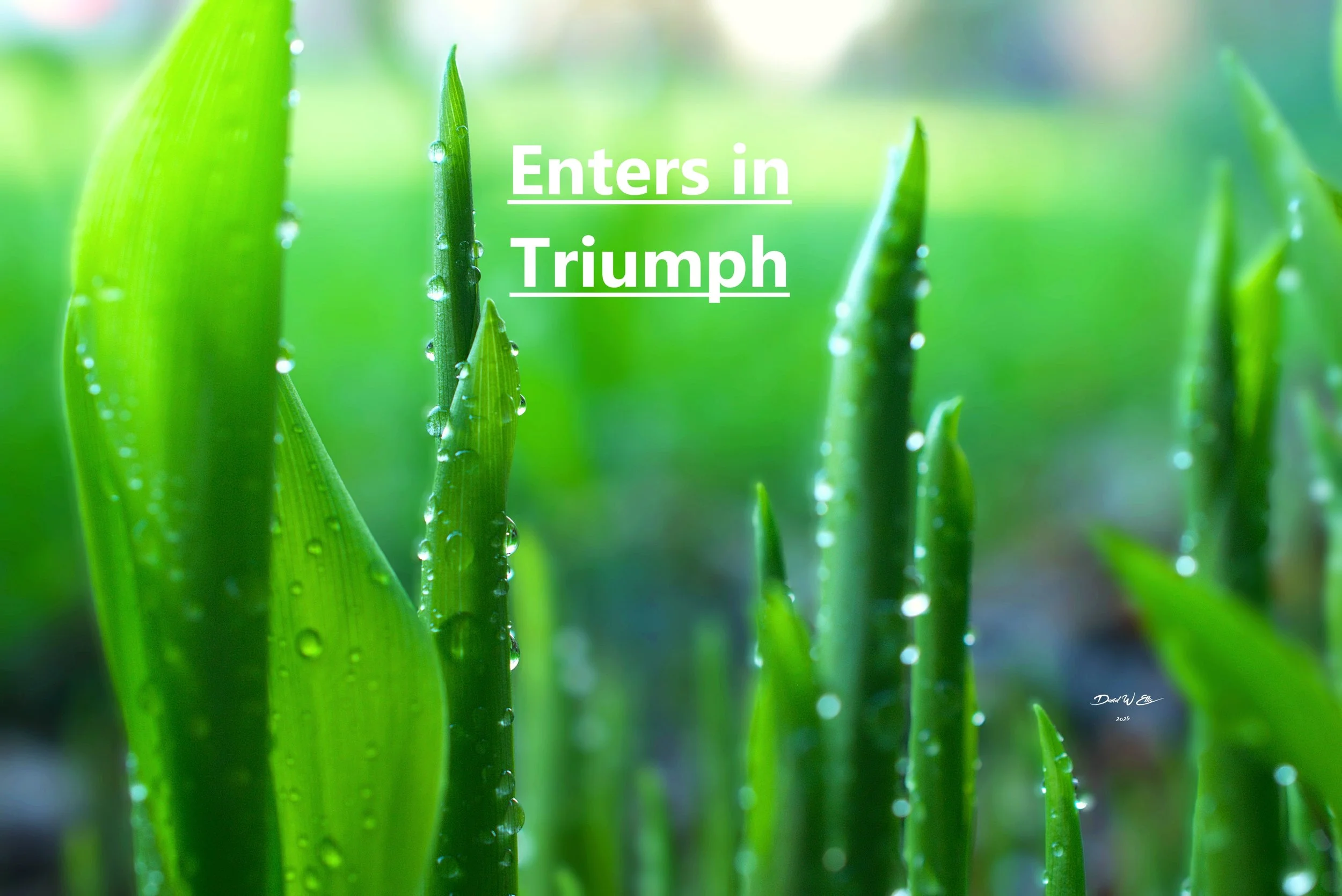 Enters in Triumph