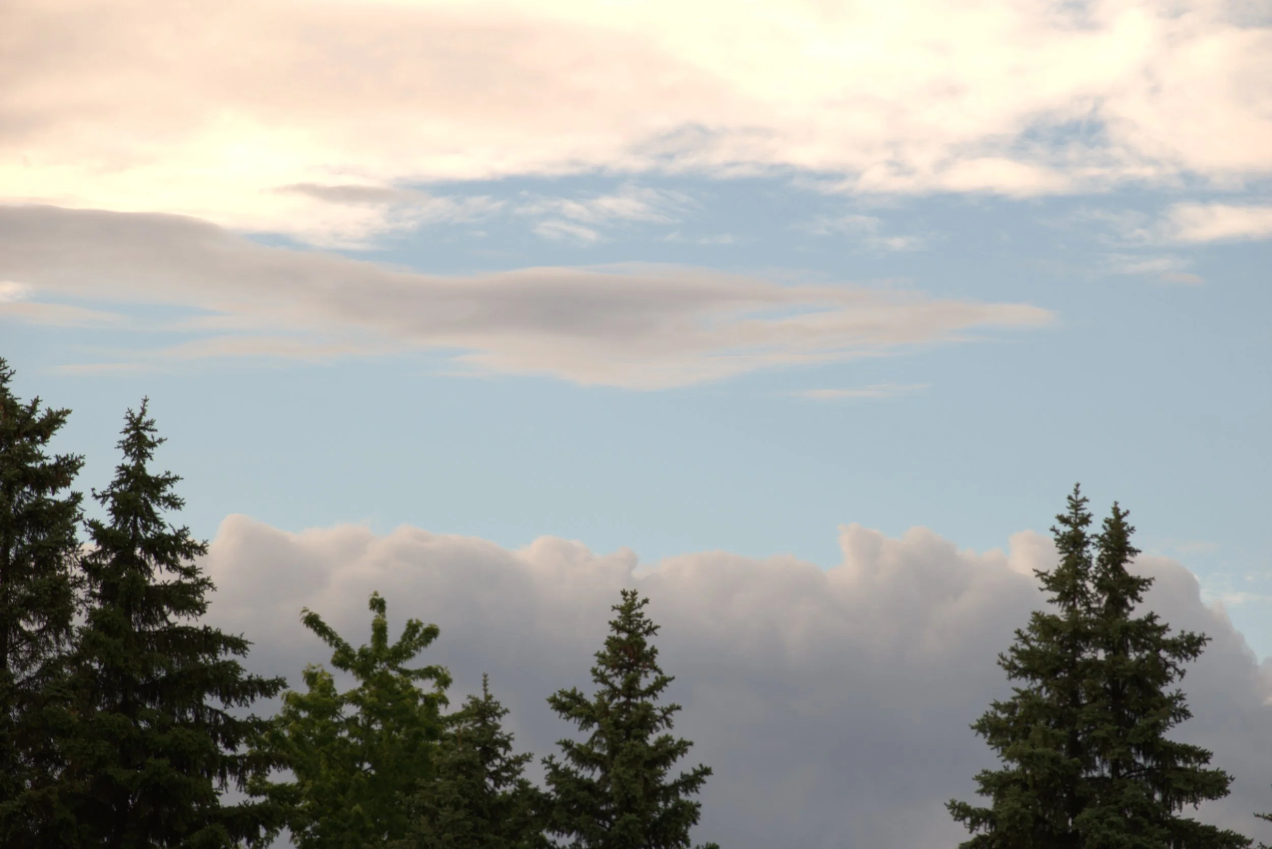 DSC_6441a.jpg
