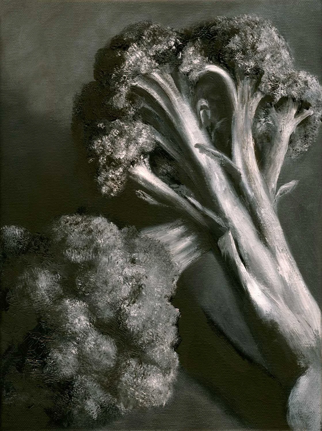 Broccoli, Black and White