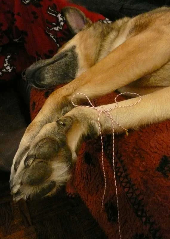 poor lulu