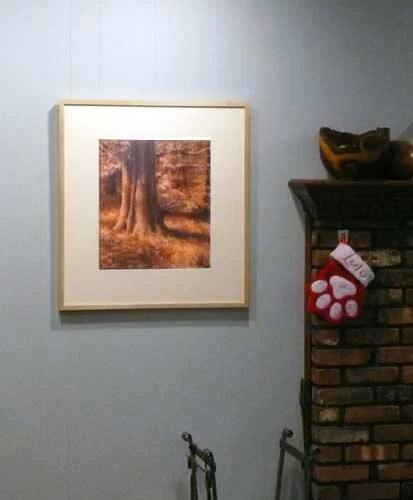 Enchanted : framed