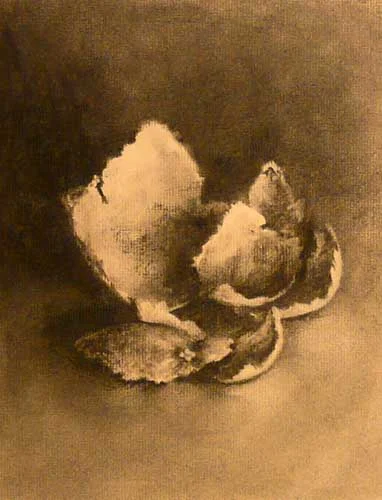 charcoal still life drawing of clementine ppel