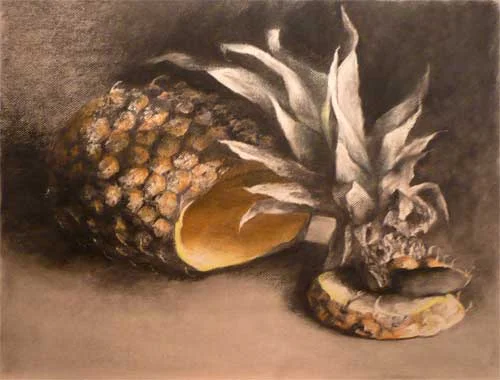 pineapple fruit still life drawing