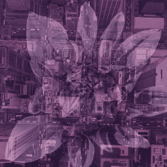 pink-flower-city.gif