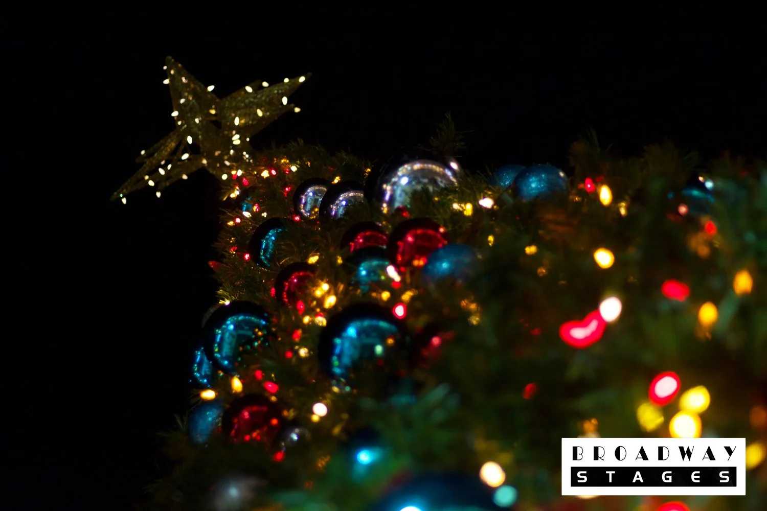 treelighting-19.jpg
