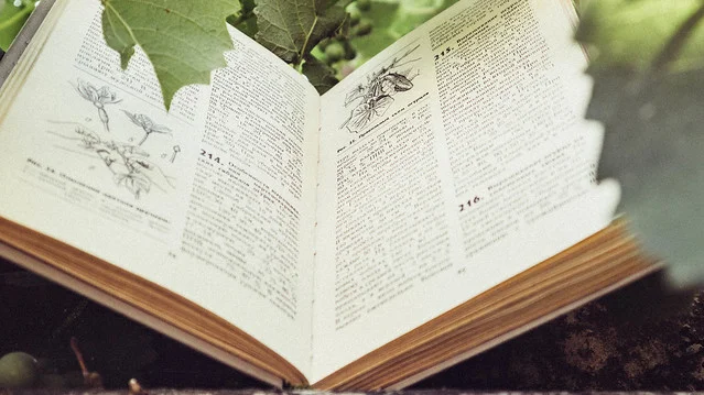 book.jpg